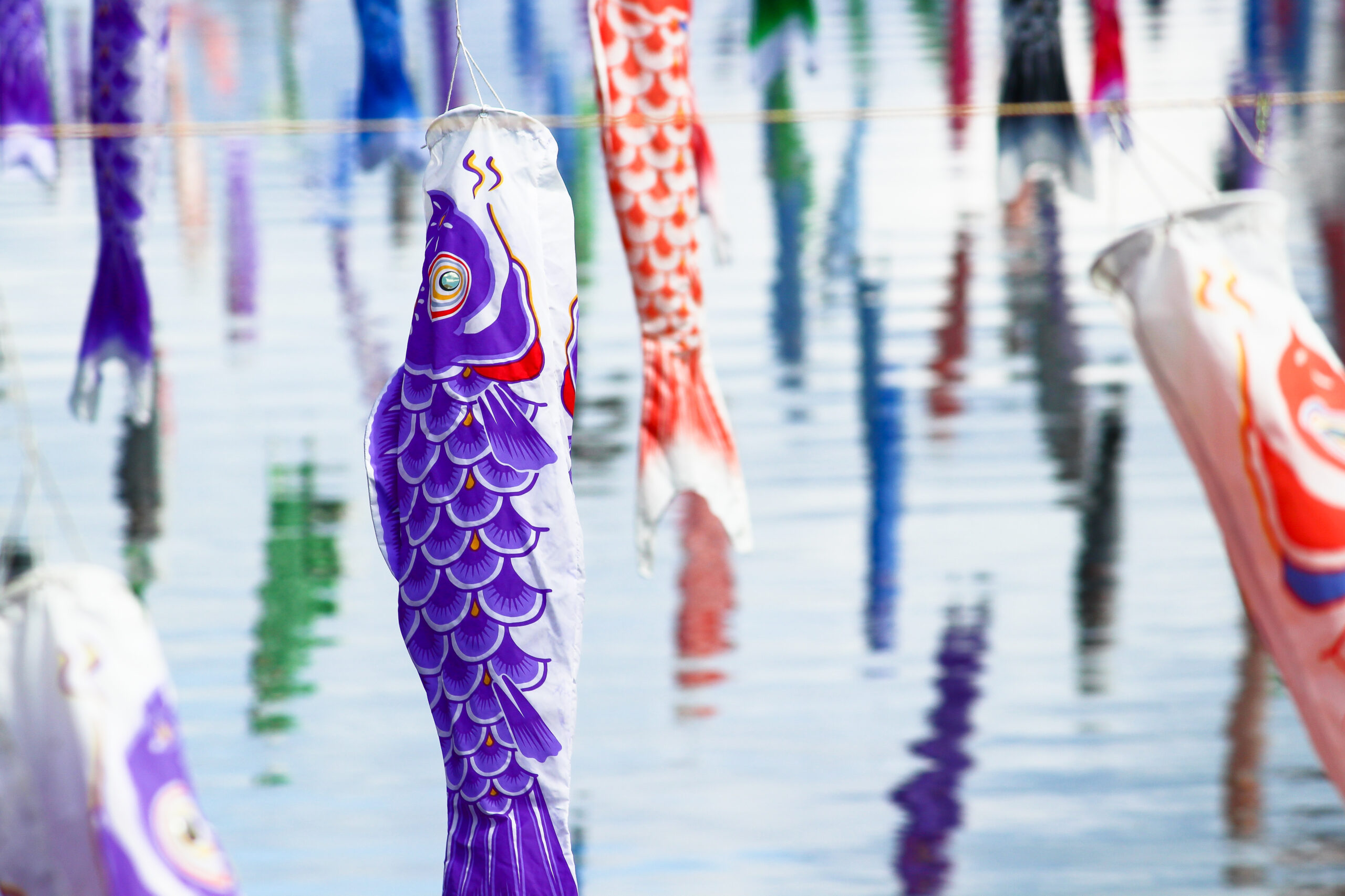 館林こいのぼり