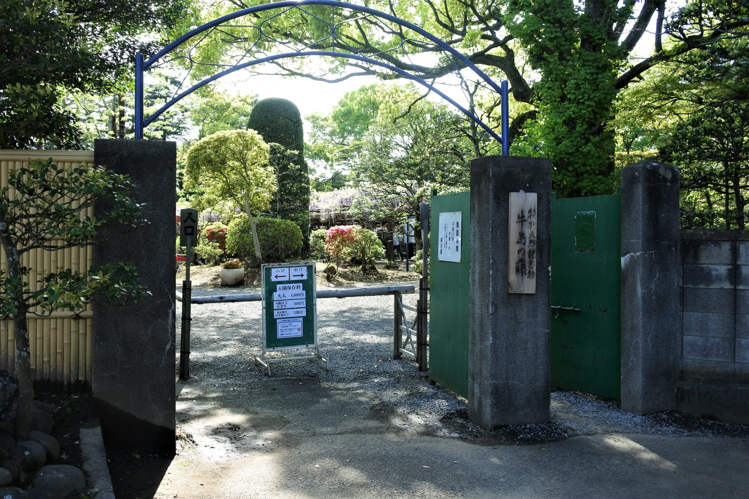 春日部市、藤花園、牛島の藤、入口
