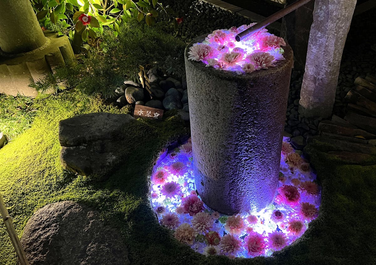 行田八幡神社、花手水、ライトアップ、希望の光