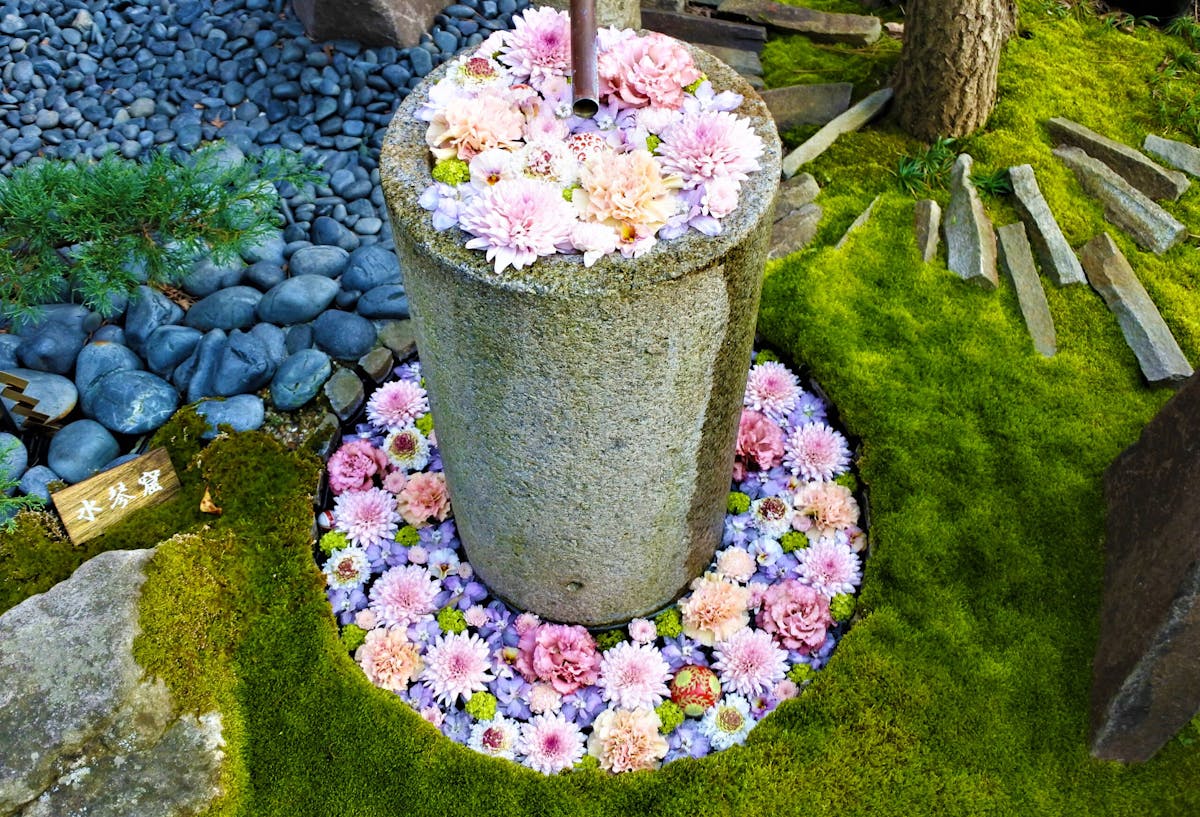 月に一度だけ 行田 花手水week 希望の光 ライトアップが描く幻想世界 オマツリジャパン あなたと祭りをつなげるメディア 月に一度だけ 行田 花手水week 希望の光 ライトアップが描く幻想世界 オマツリジャパン あなたと祭りをつなげるメディア