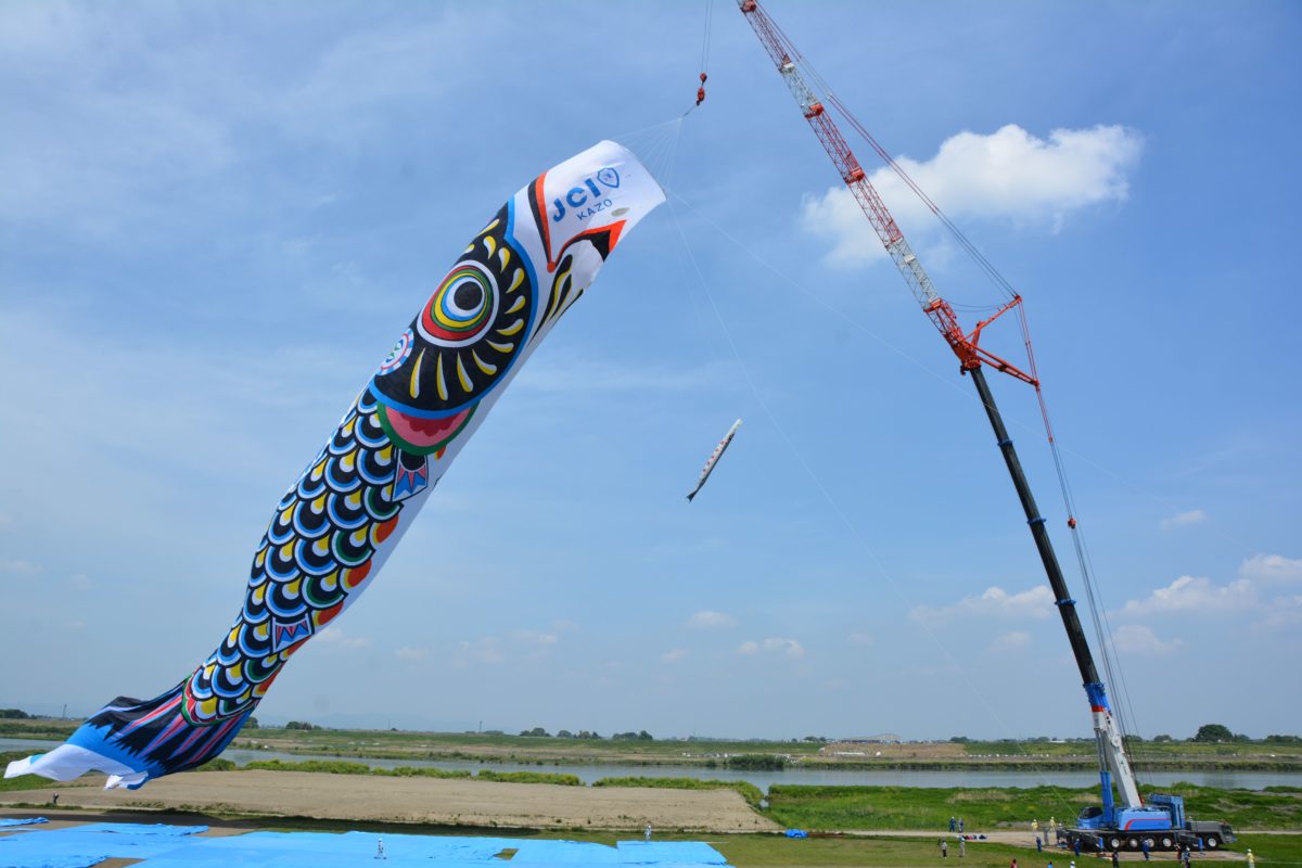 じゃんぼこいのぼりの遊泳