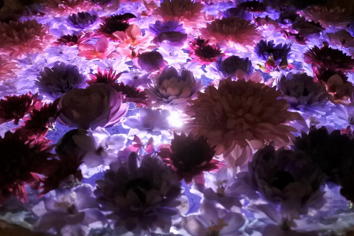 月に一度だけ 行田 花手水week 希望の光 ライトアップが描く幻想世界 オマツリジャパン あなたと祭りをつなげるメディア 月に一度だけ 行田 花手水week 希望の光 ライトアップが描く幻想世界 オマツリジャパン あなたと祭りをつなげるメディア