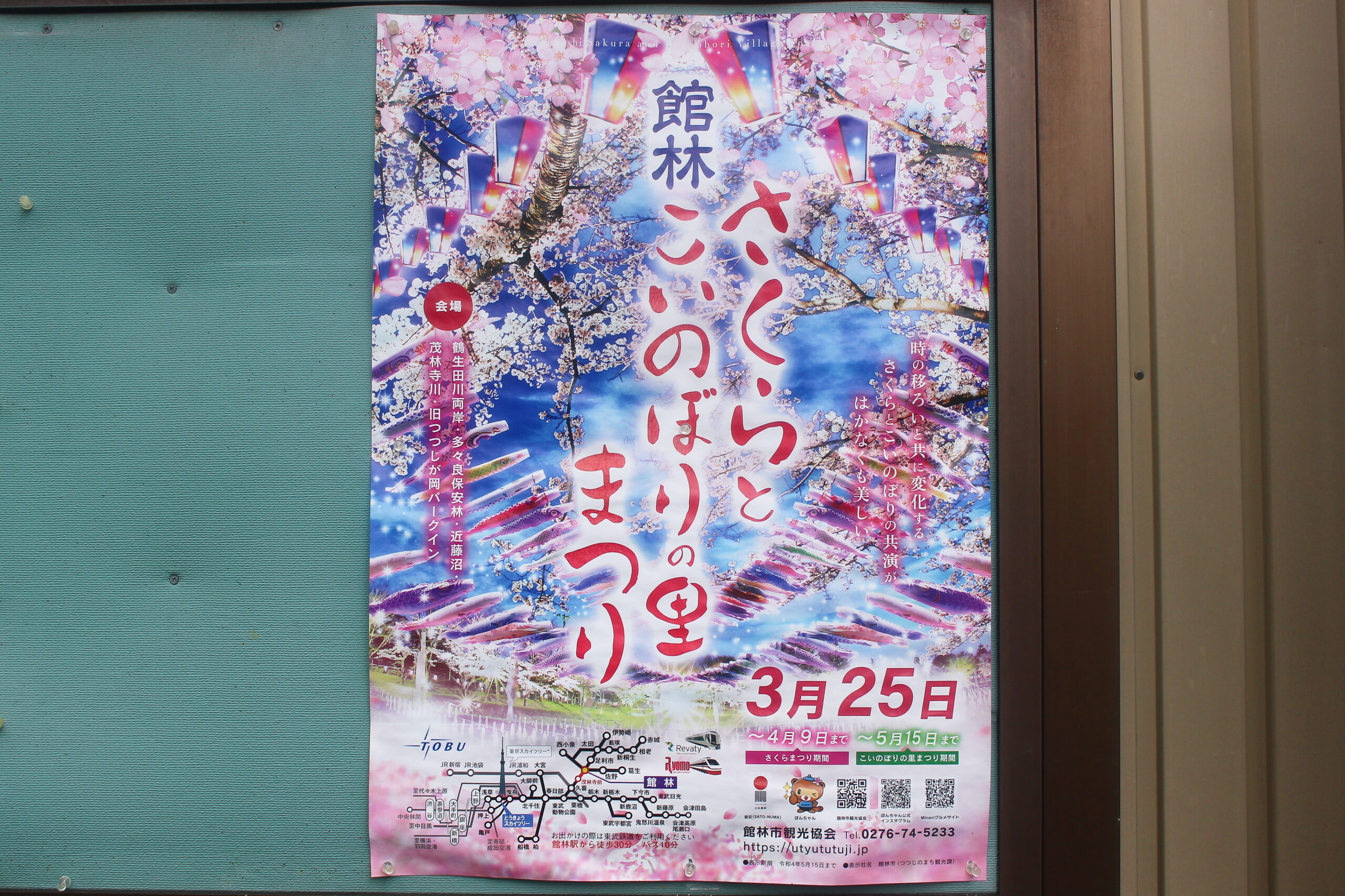 館林こいのぼり