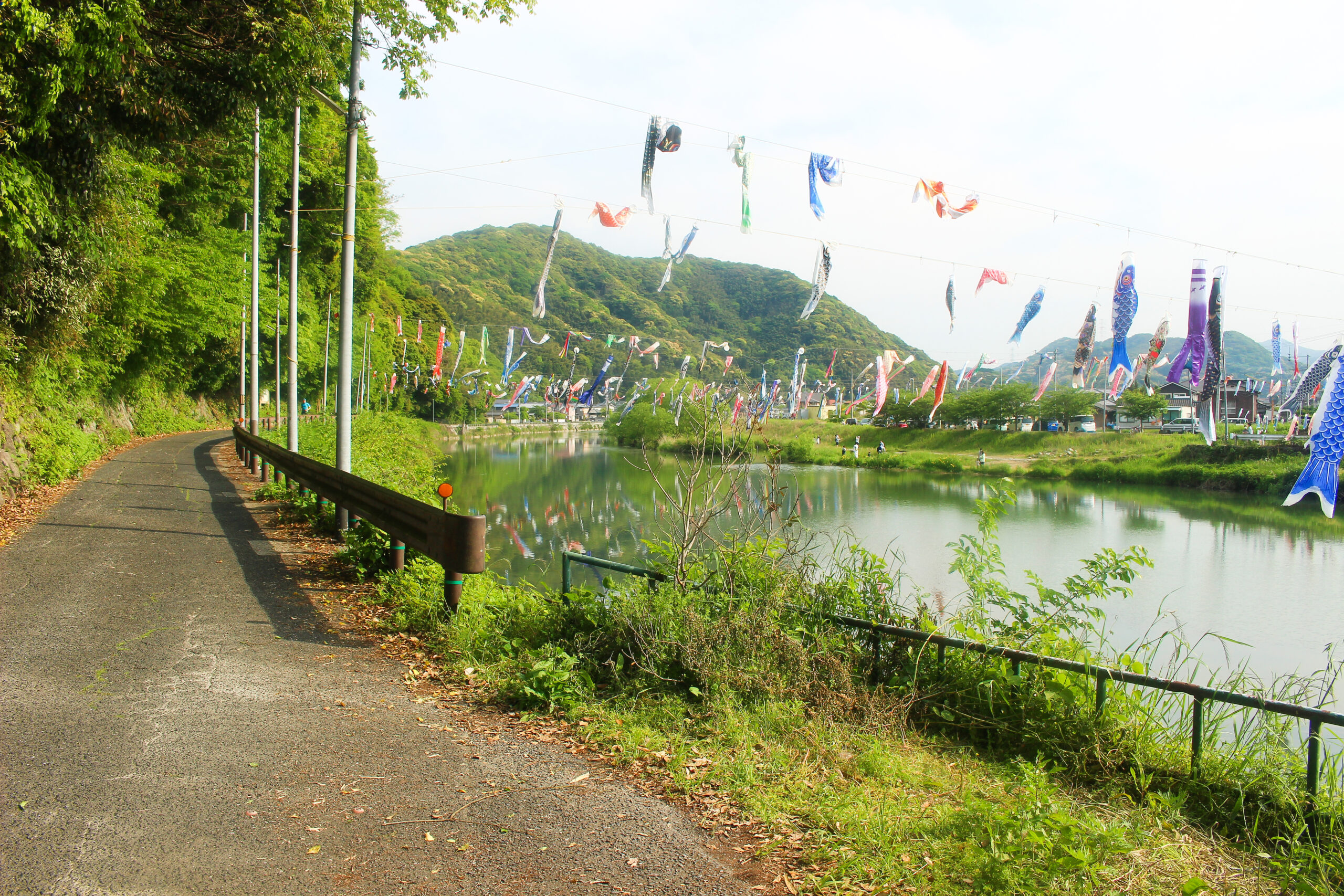 紫川こいのぼりまつり