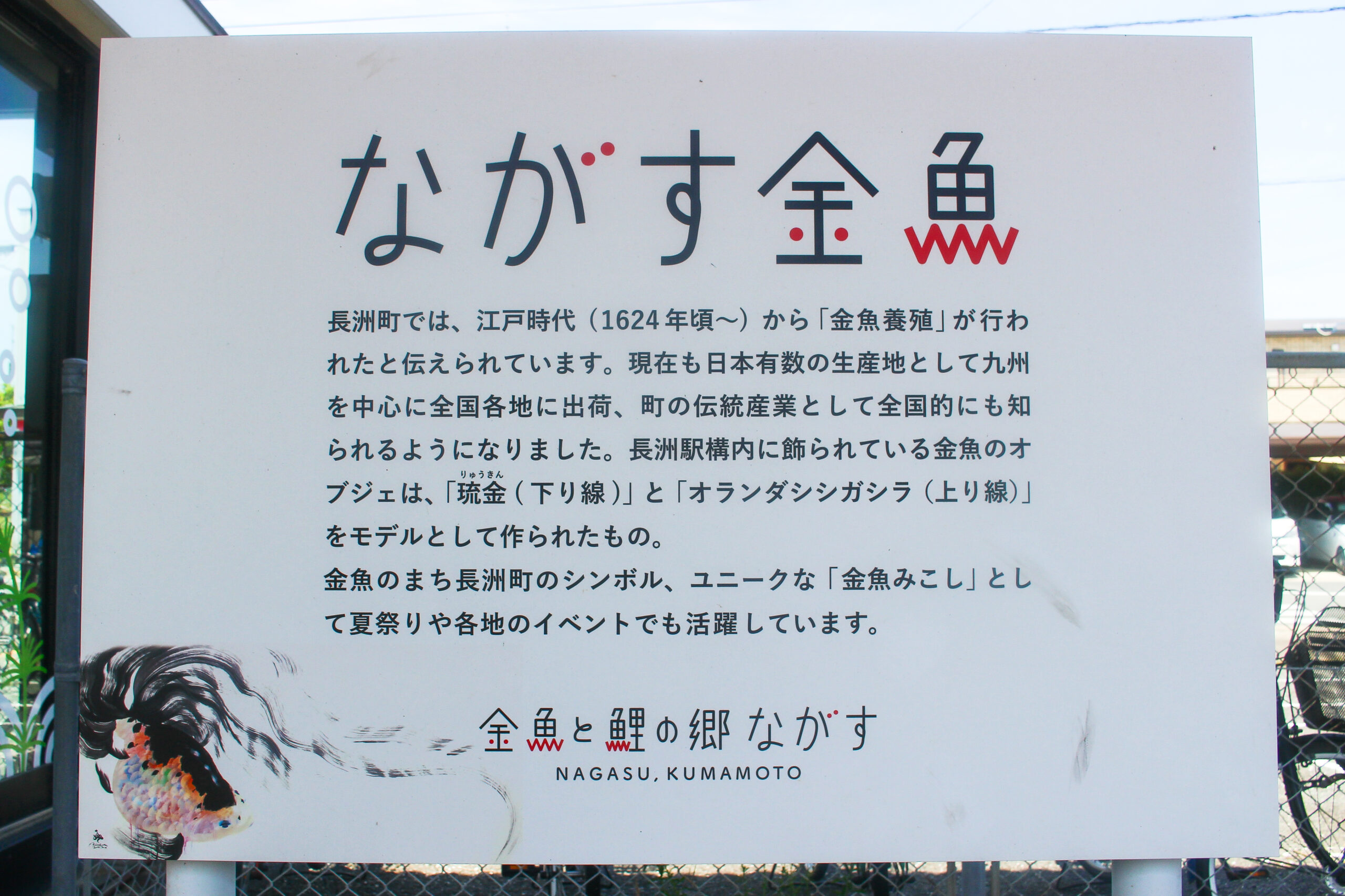 長洲金魚まつり