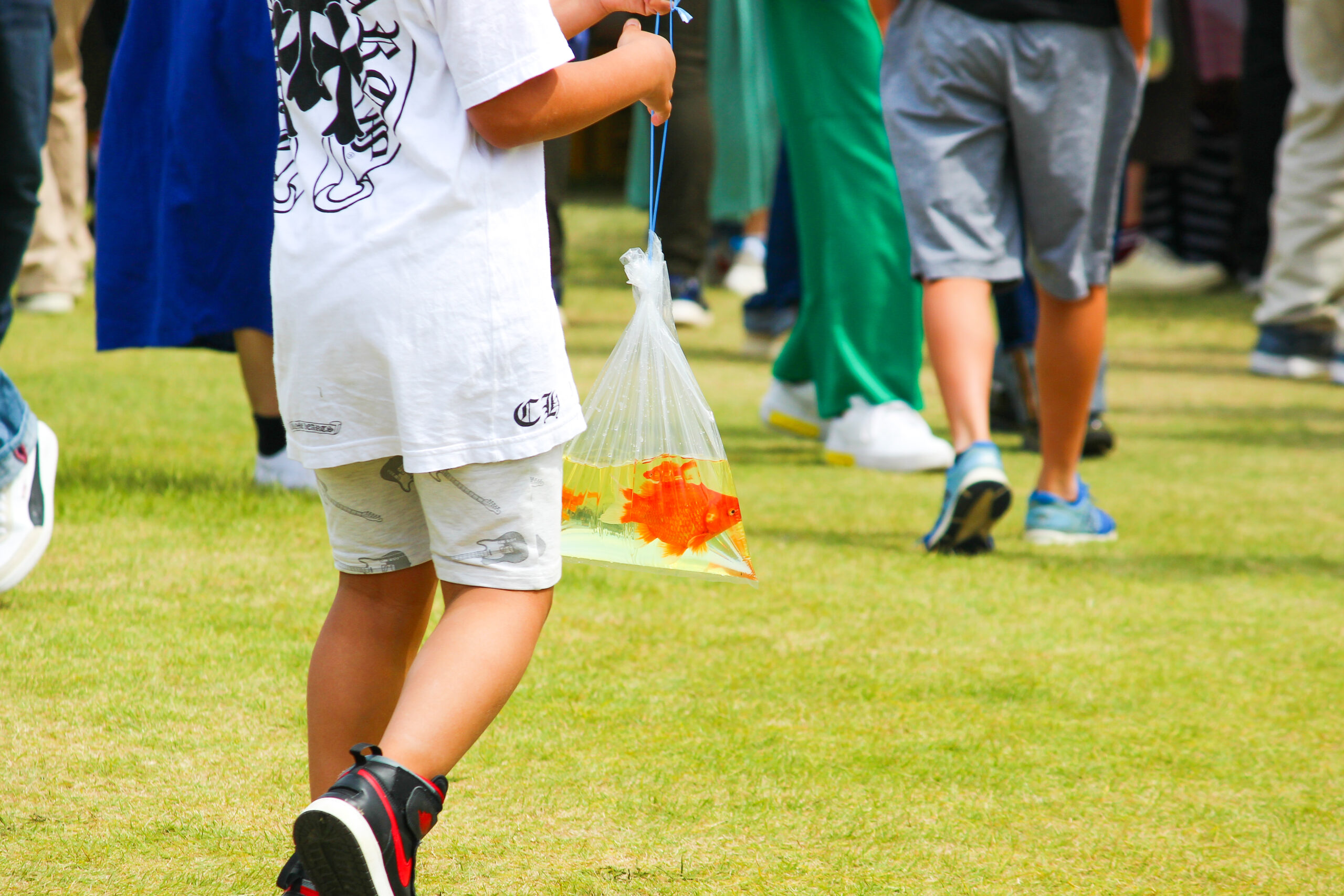 長洲金魚まつり