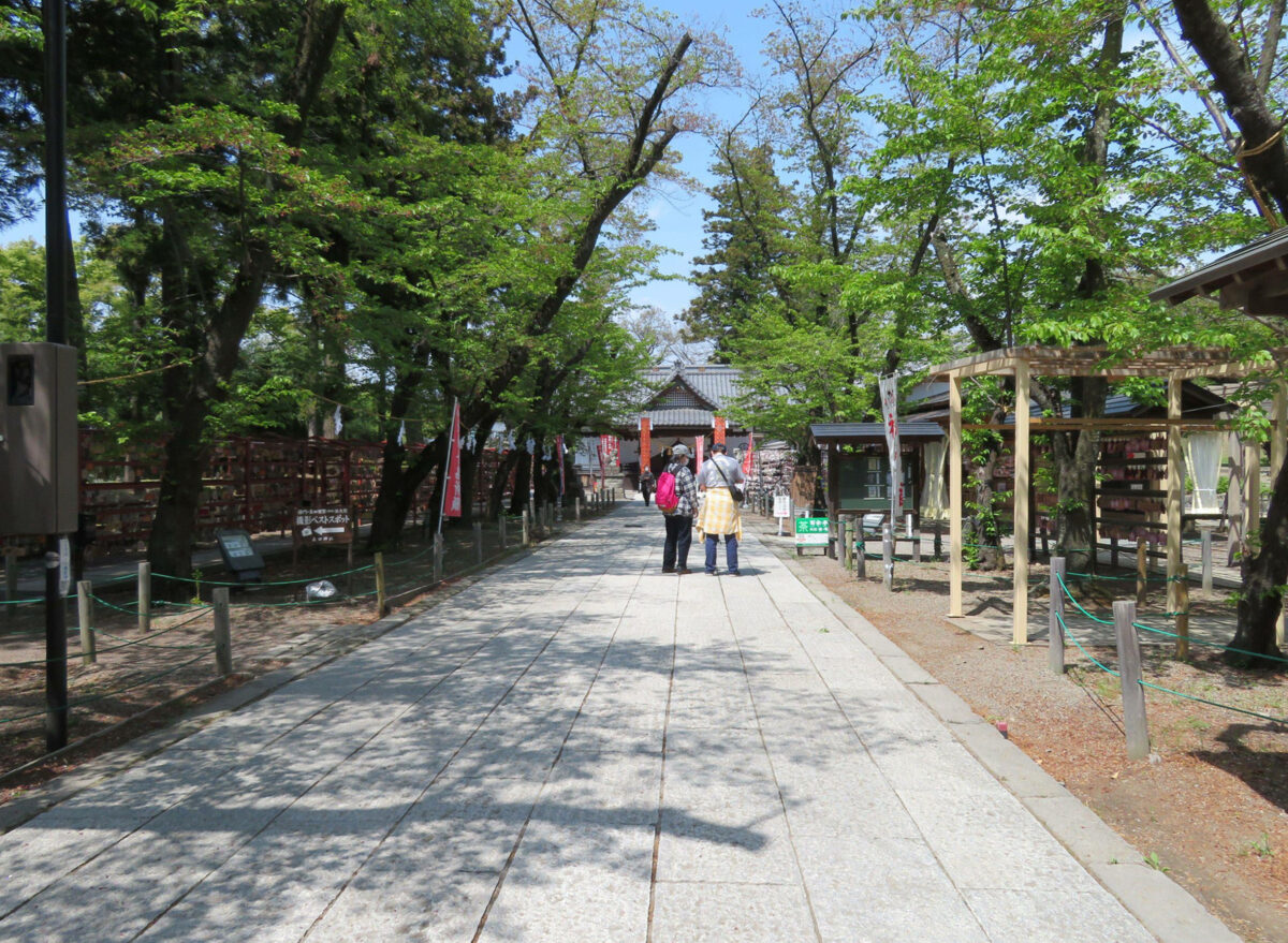 拝殿と鳥居を繋ぐ参道