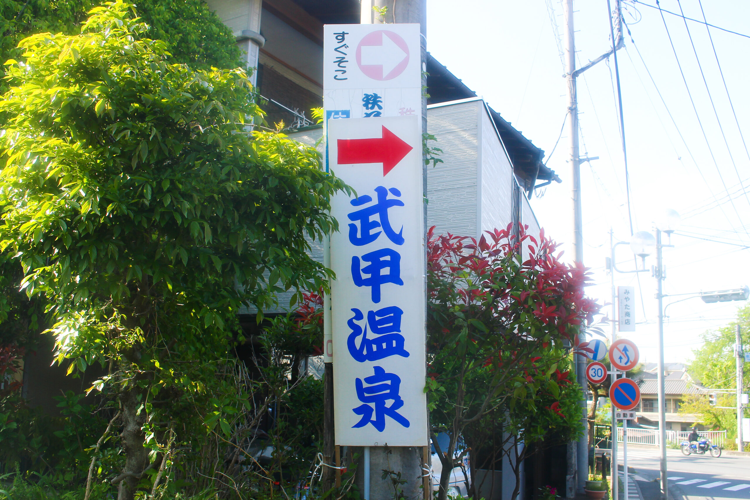 横瀬鯉のぼり祭り