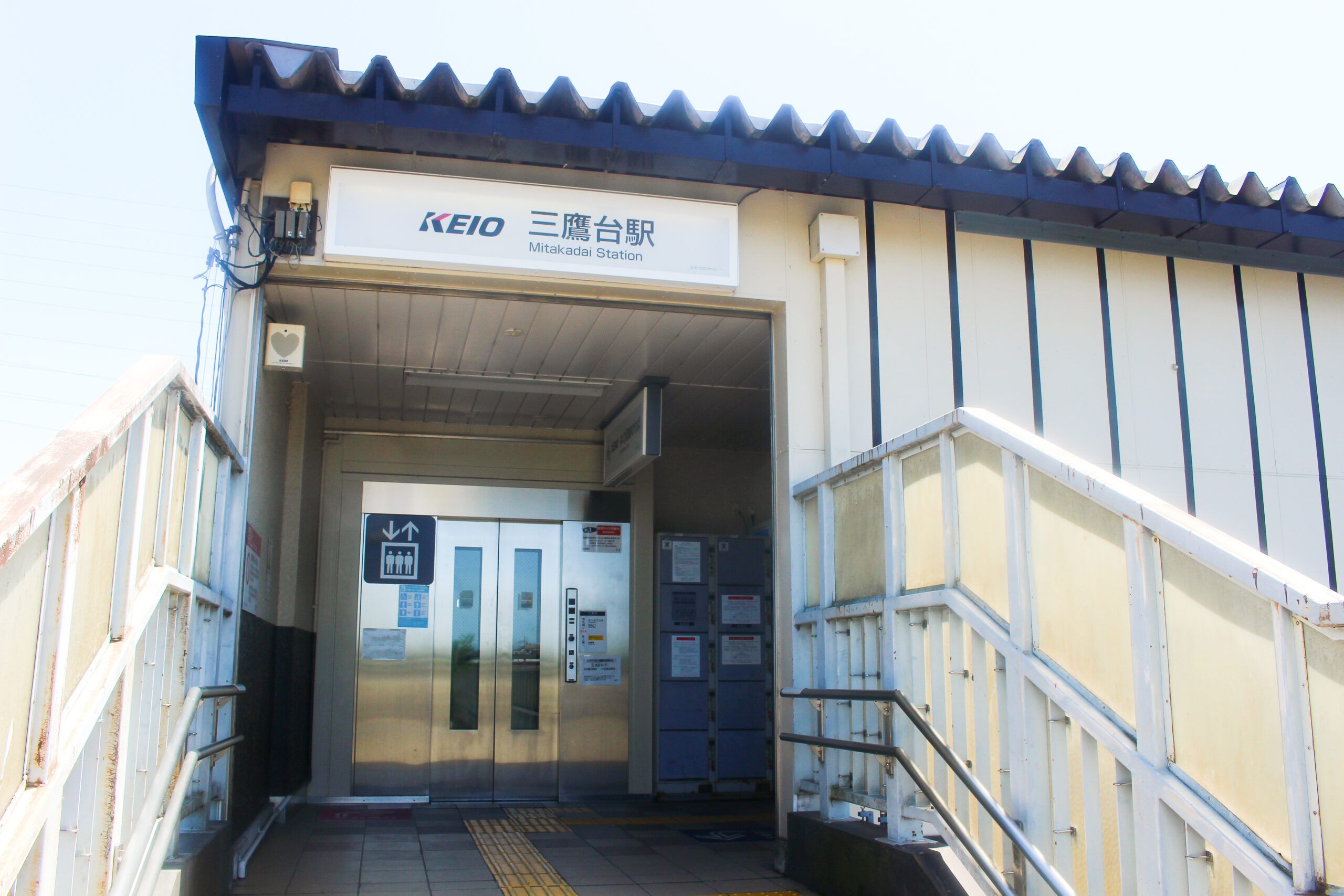 神田川こいのぼり祭り