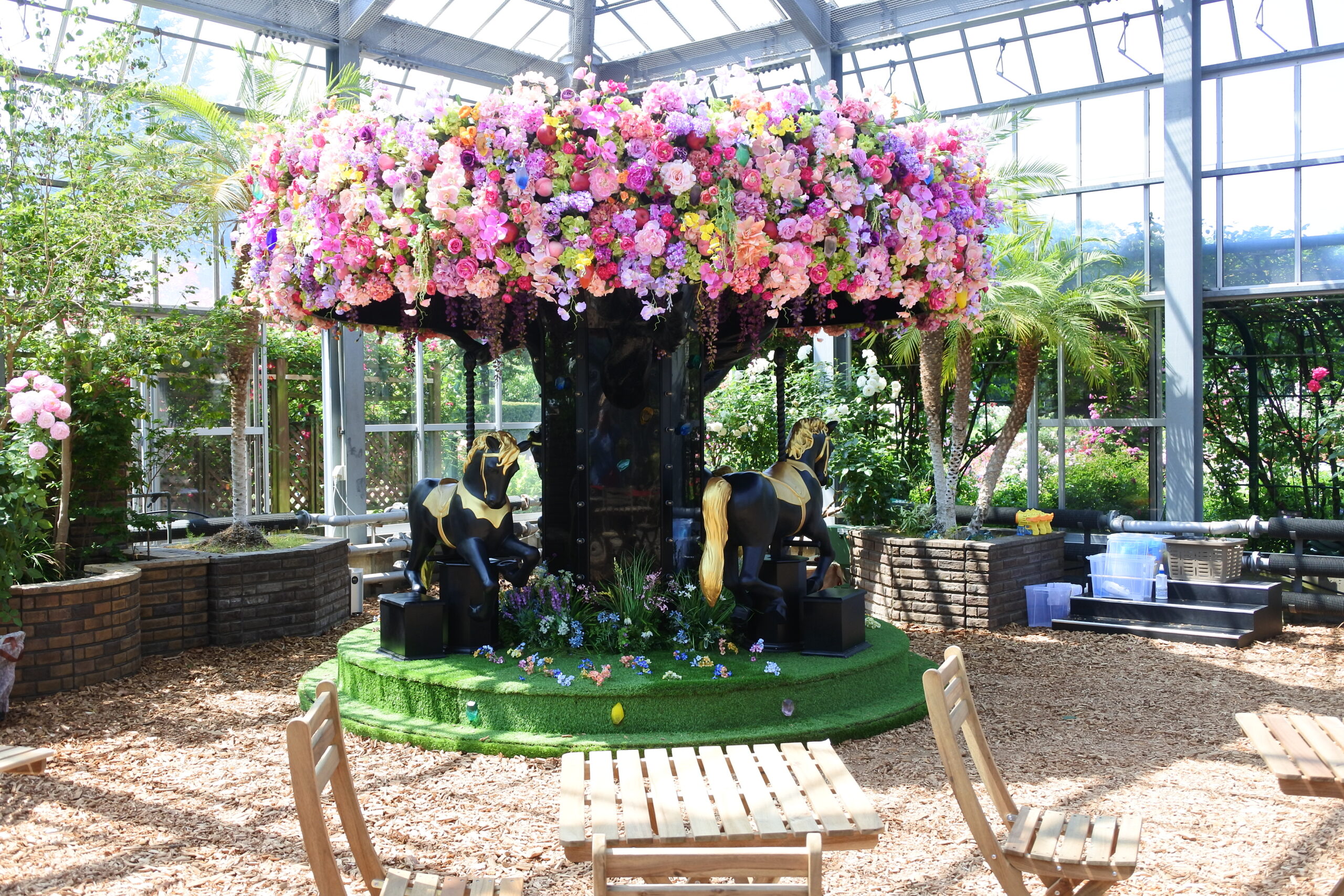 京成バラ園、ブリリアントツリー