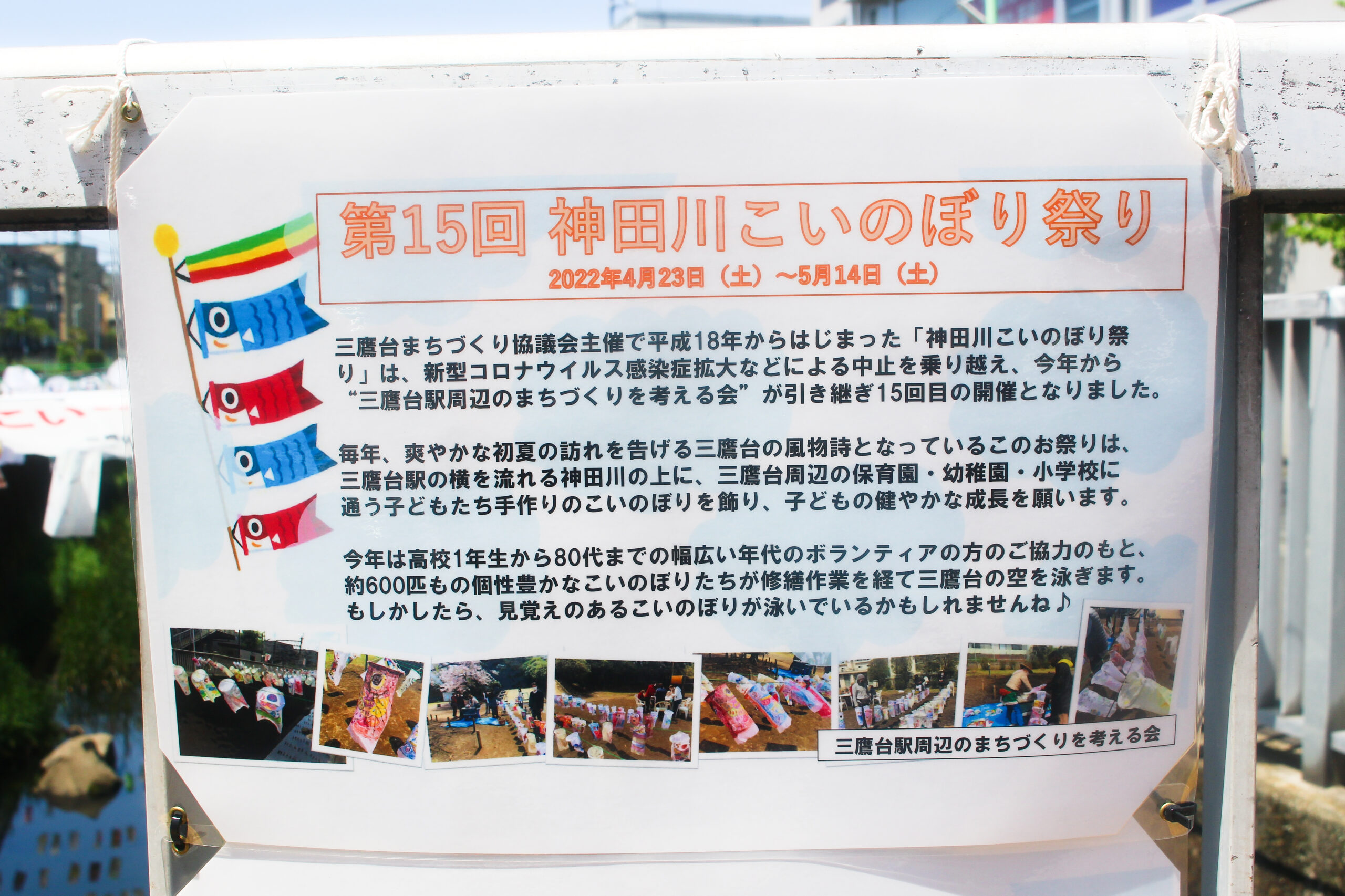 神田川こいのぼり祭り