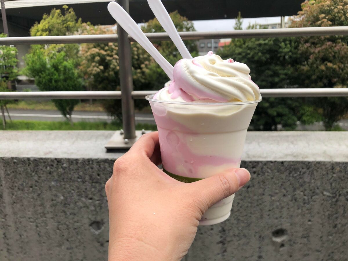 コストコのソフトクリーム