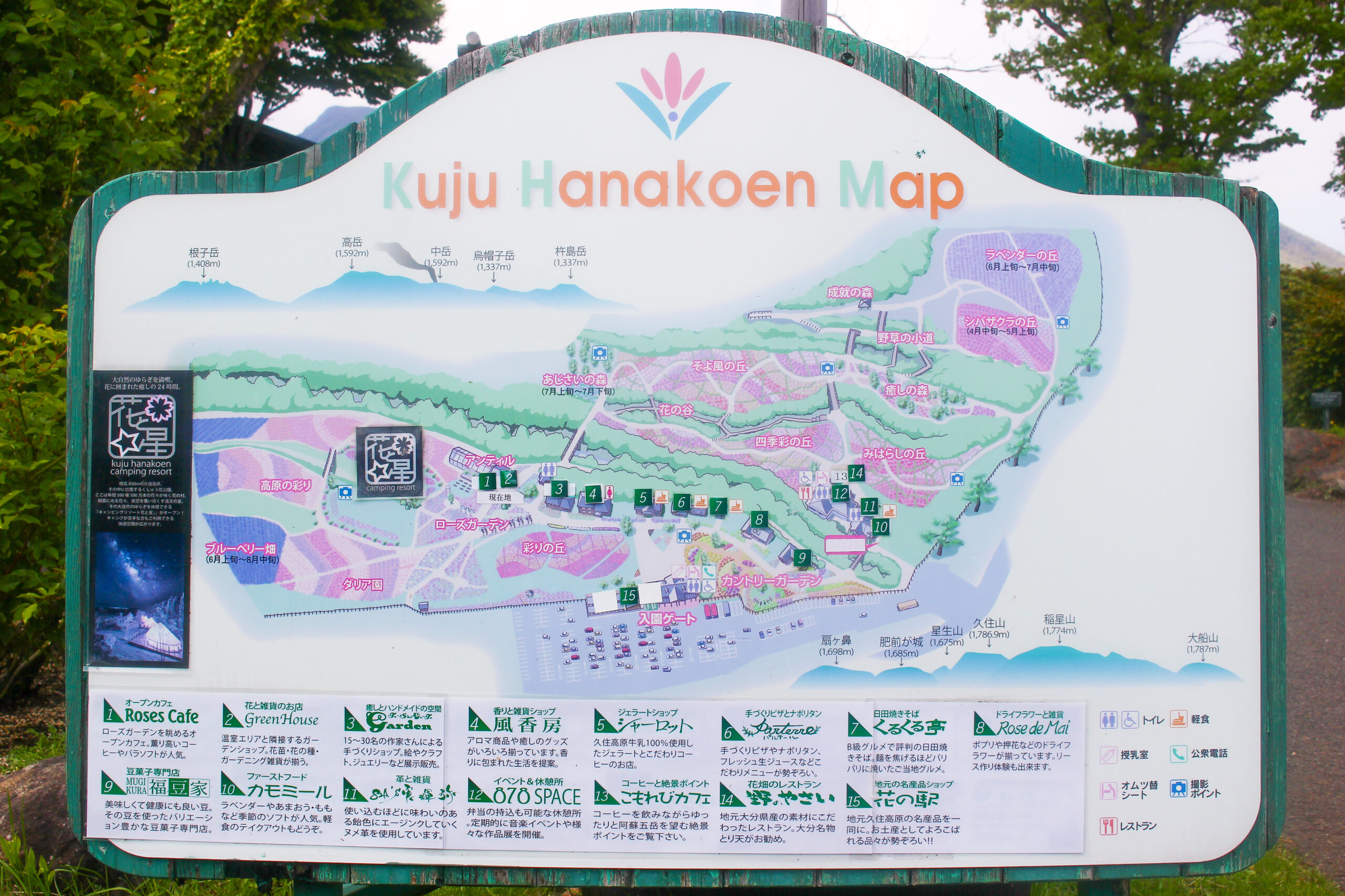 くじゅう花公園