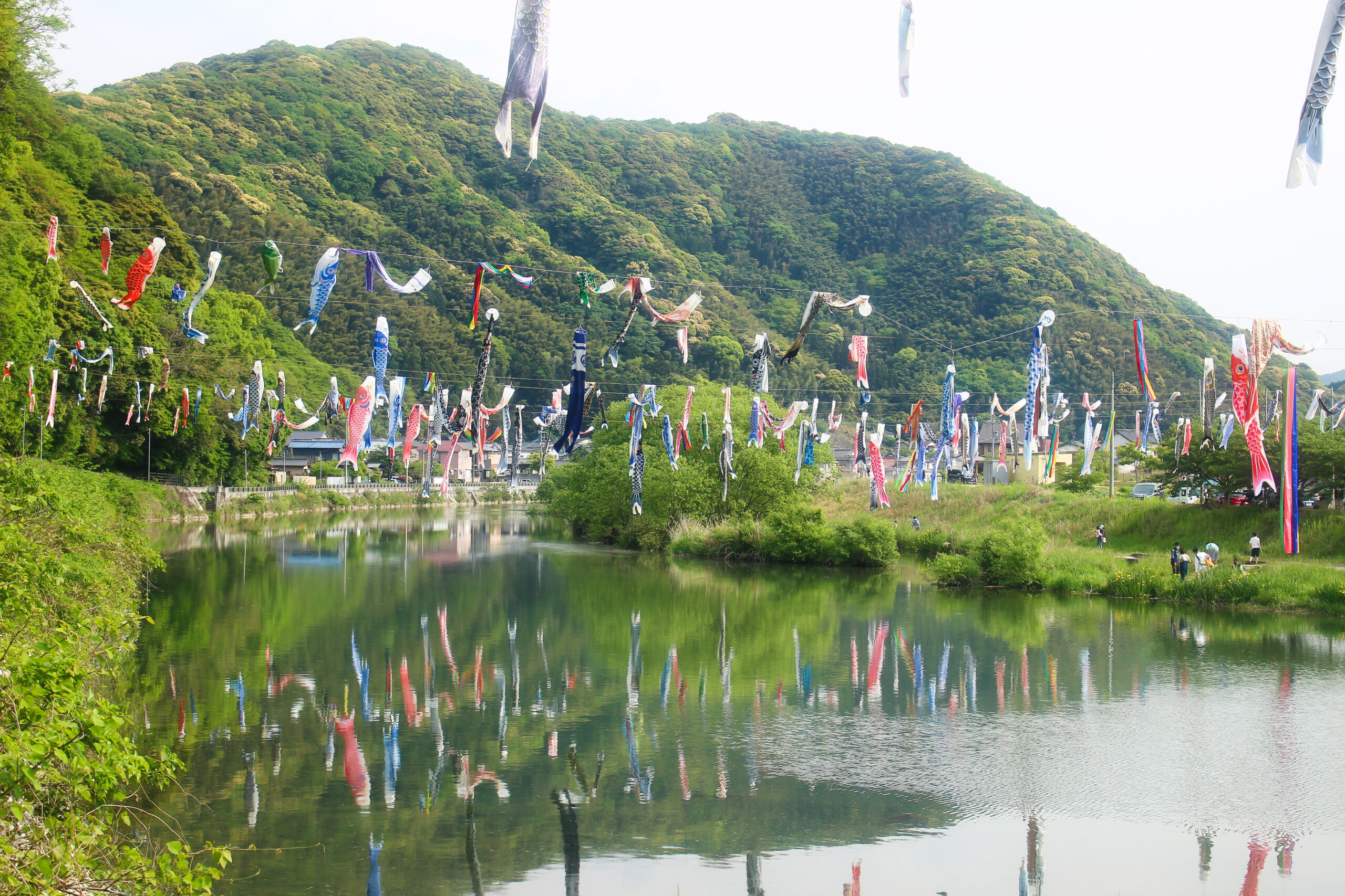 紫川こいのぼりまつり