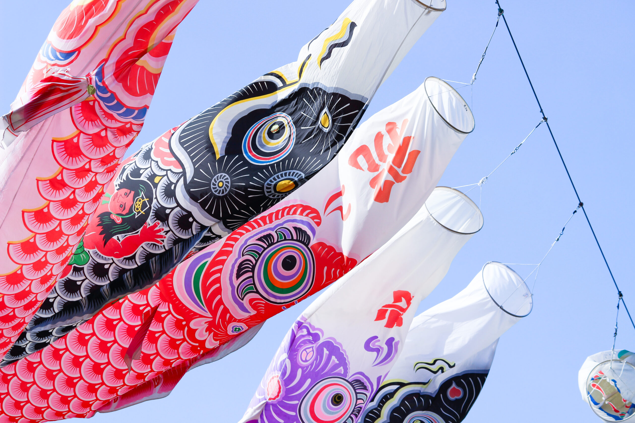 横瀬鯉のぼり祭り