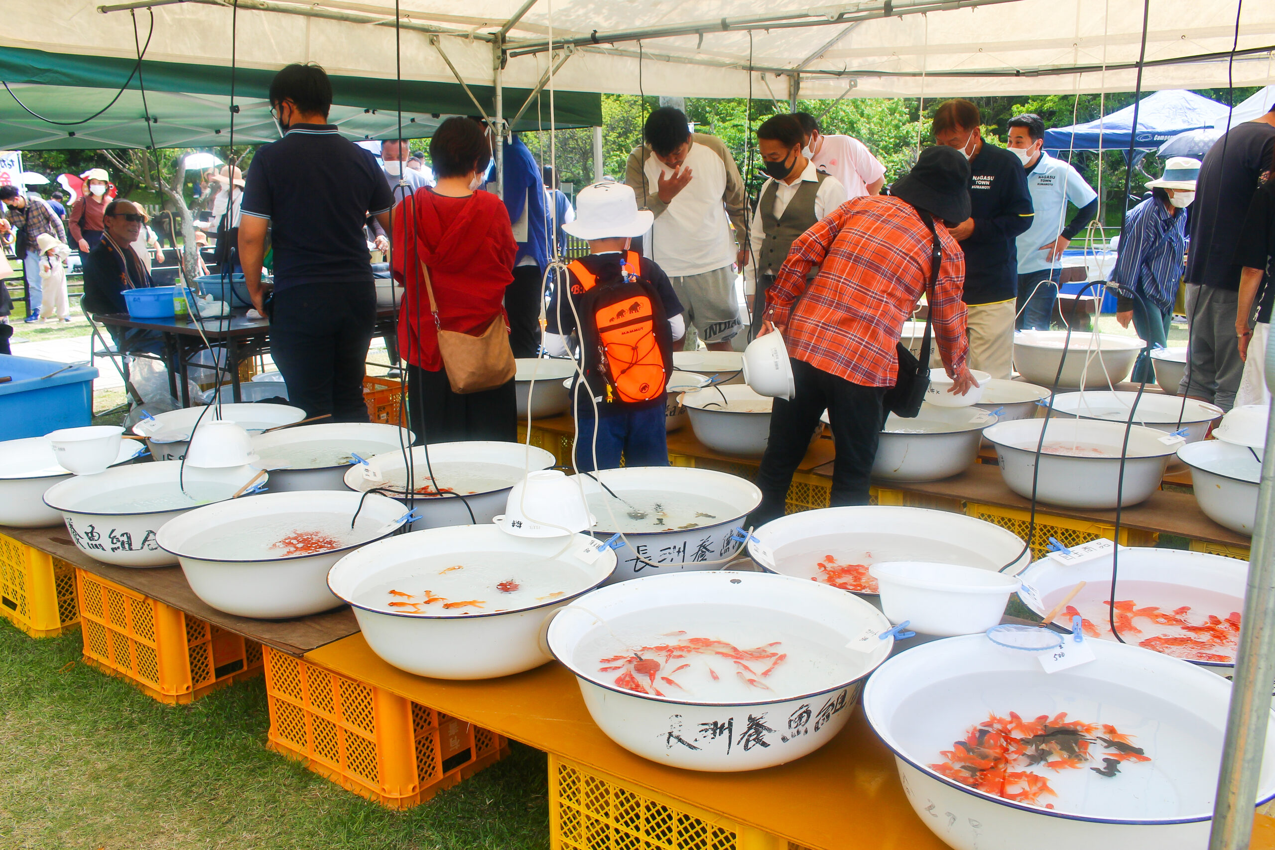 長洲金魚まつり