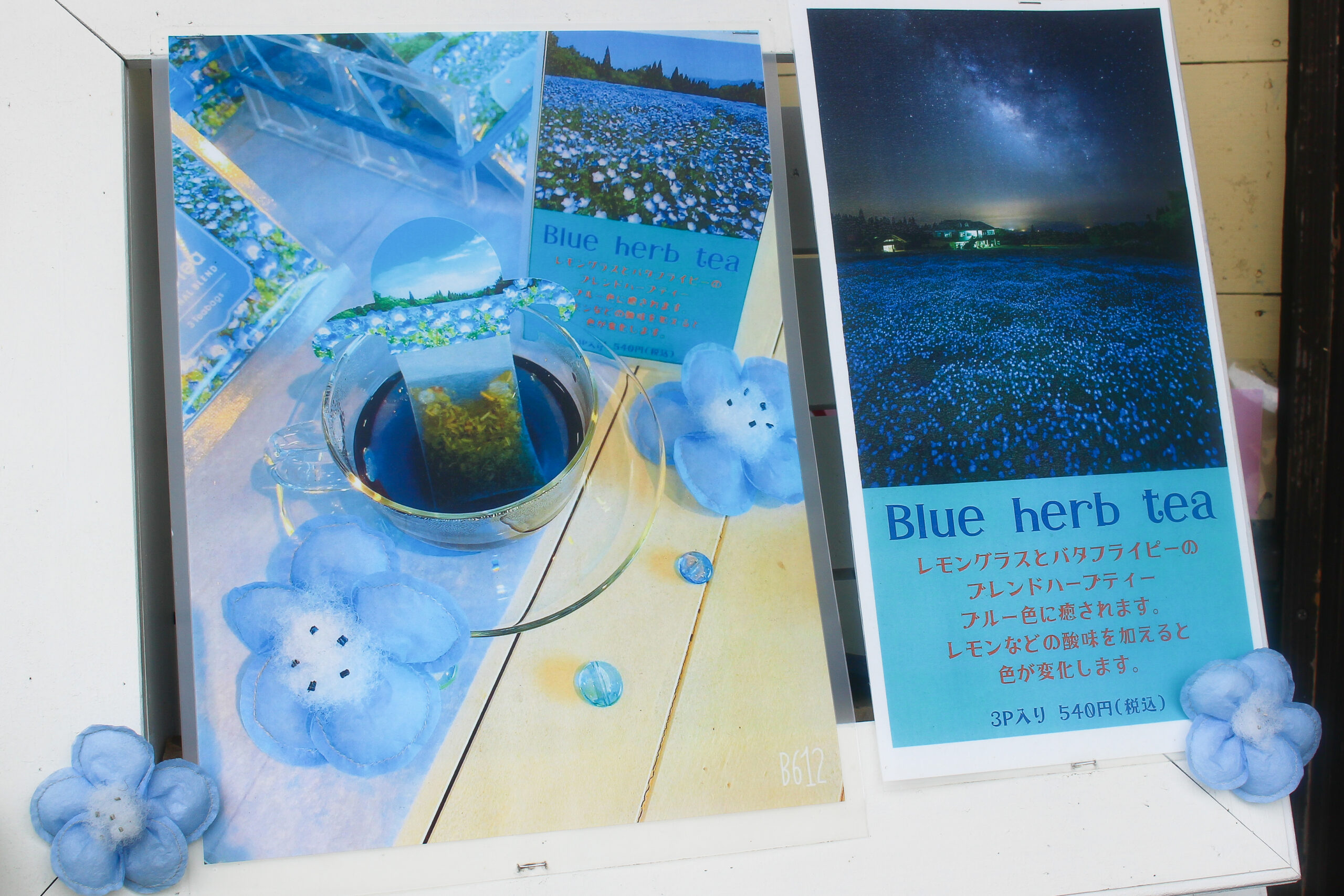 くじゅう花公園