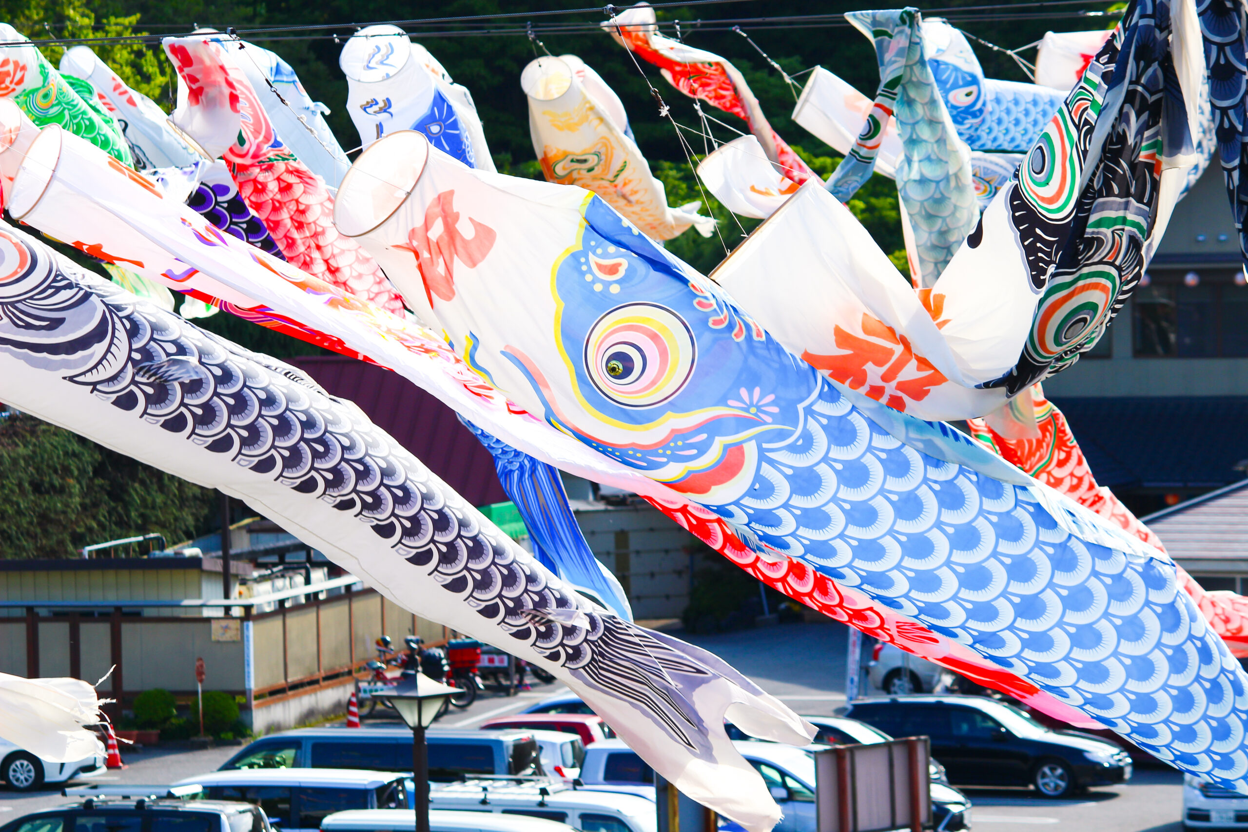 横瀬鯉のぼり祭り