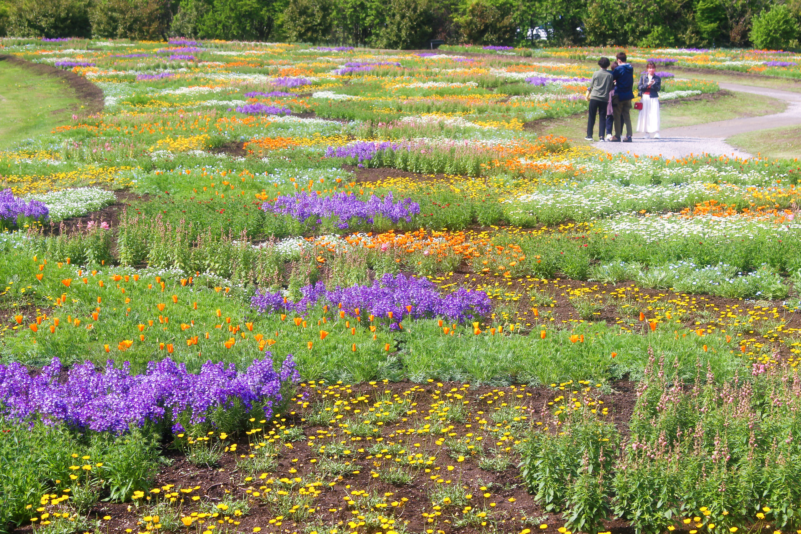 くじゅう花公園