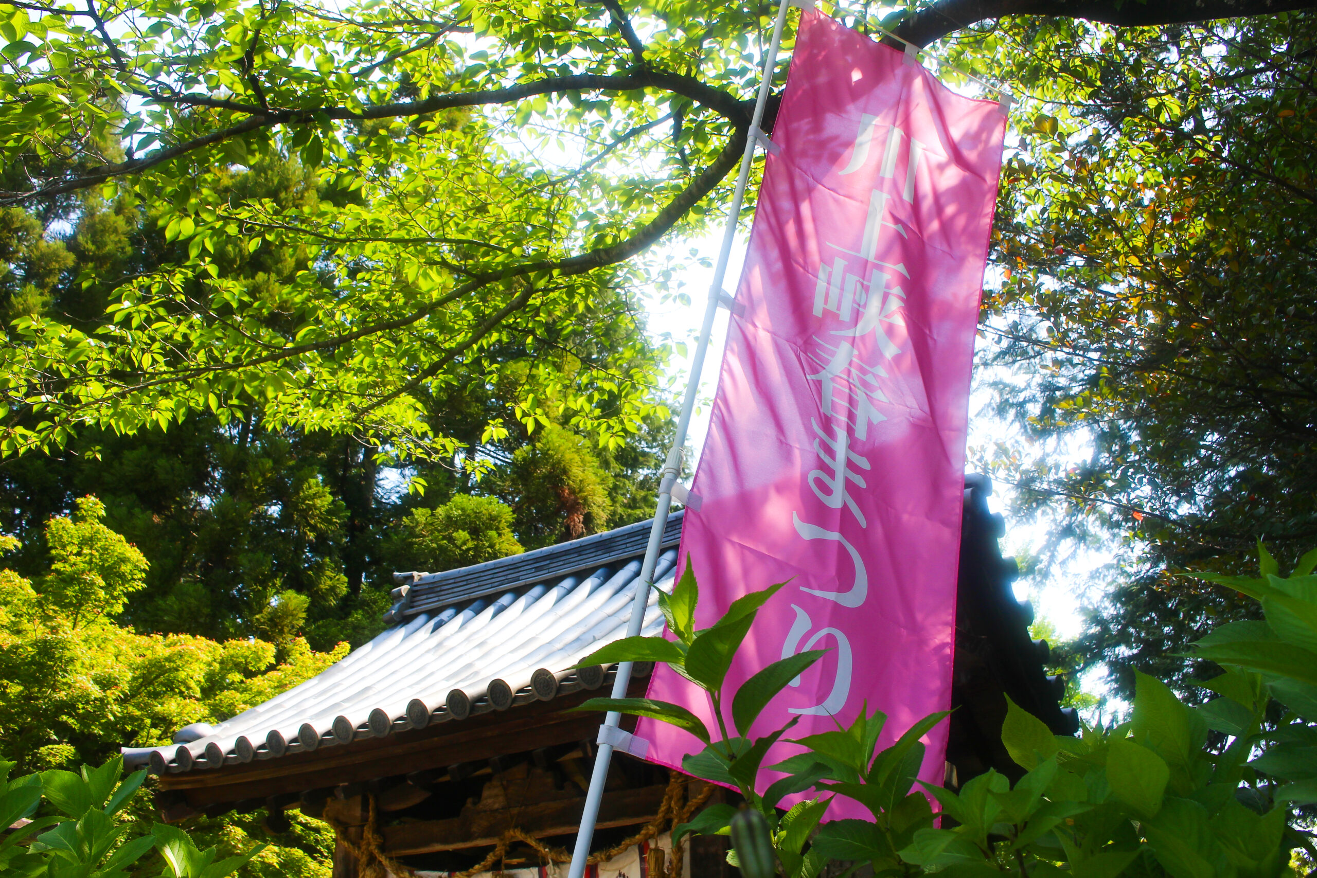 川上峡春まつり