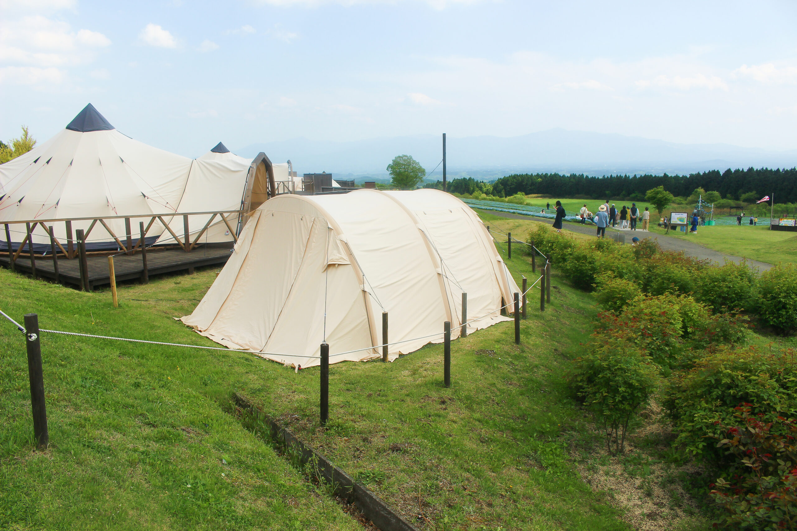 くじゅう花公園