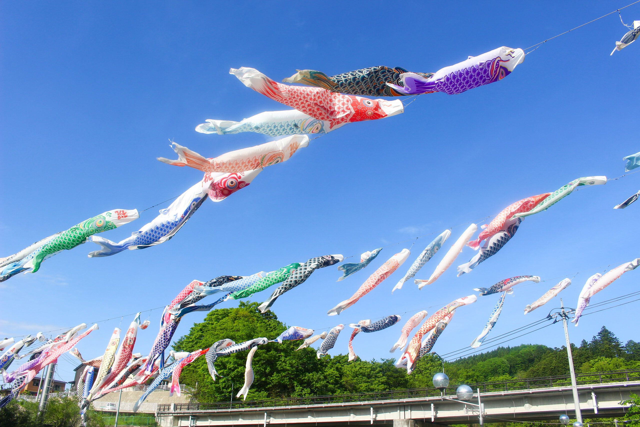 横瀬鯉のぼり祭り