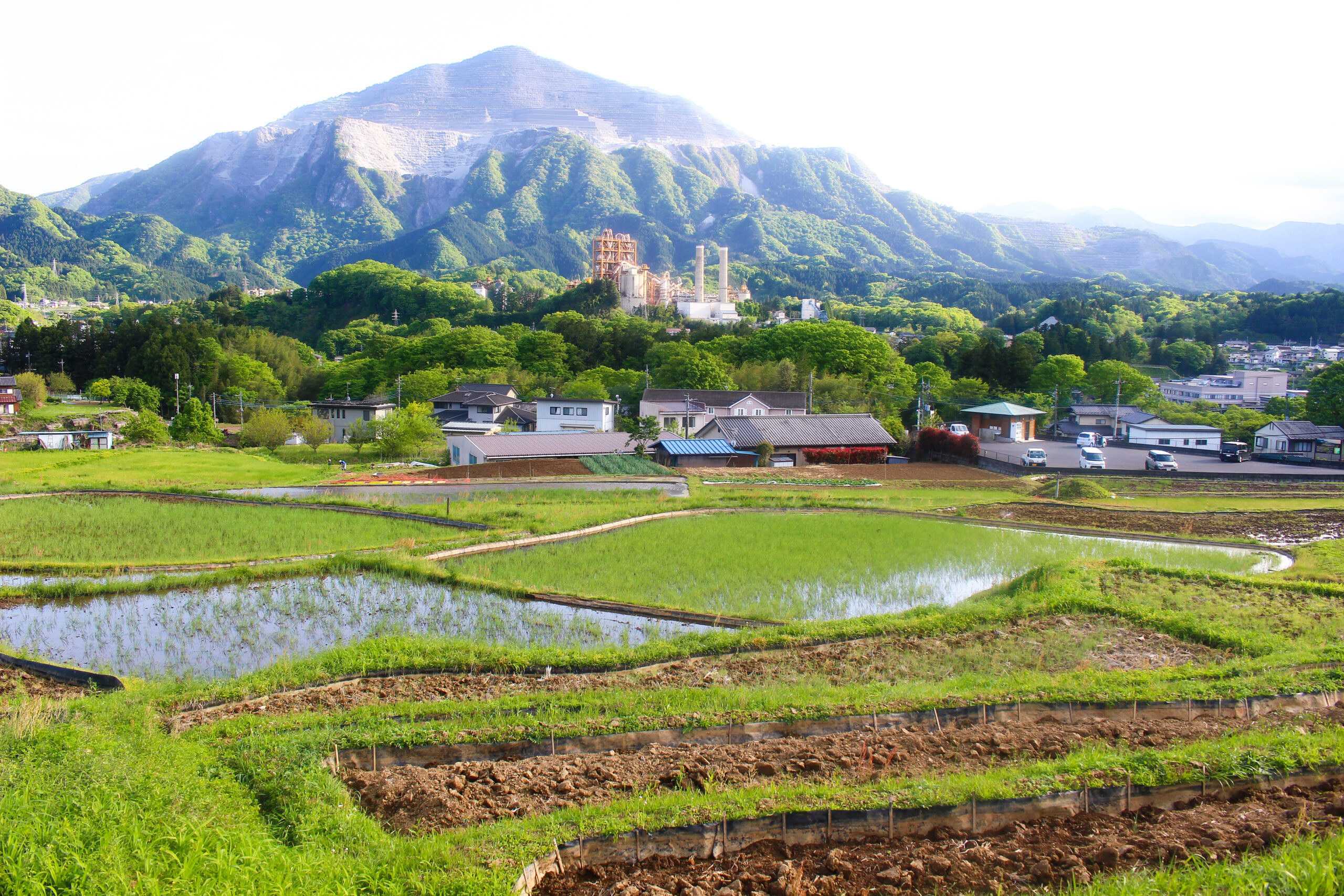 横瀬鯉のぼり祭り