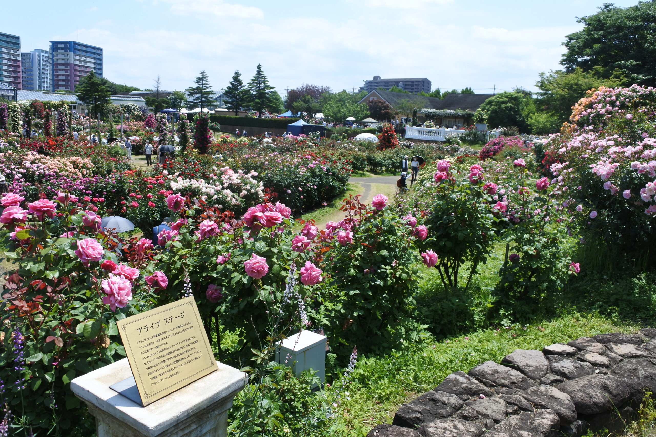 京成バラ園