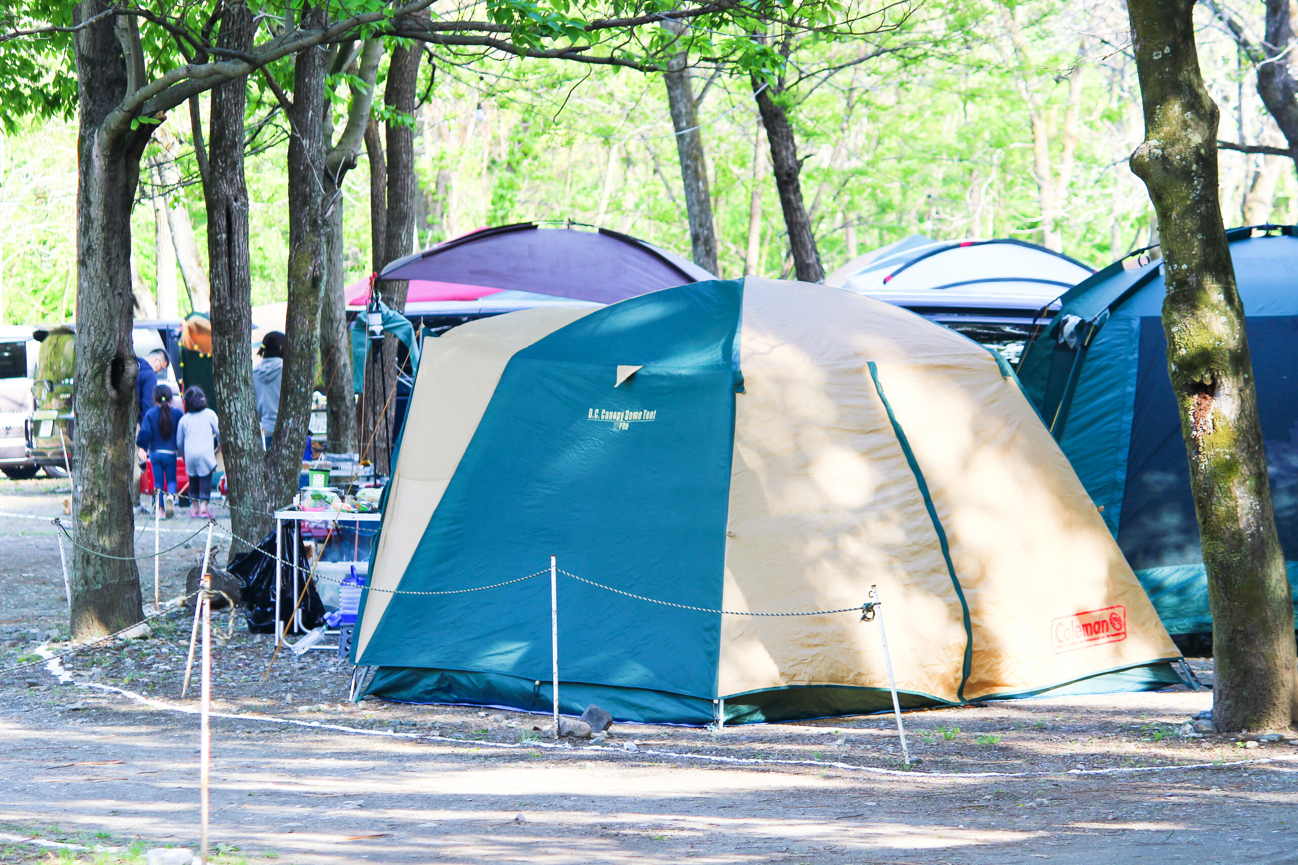 横瀬鯉のぼり祭り