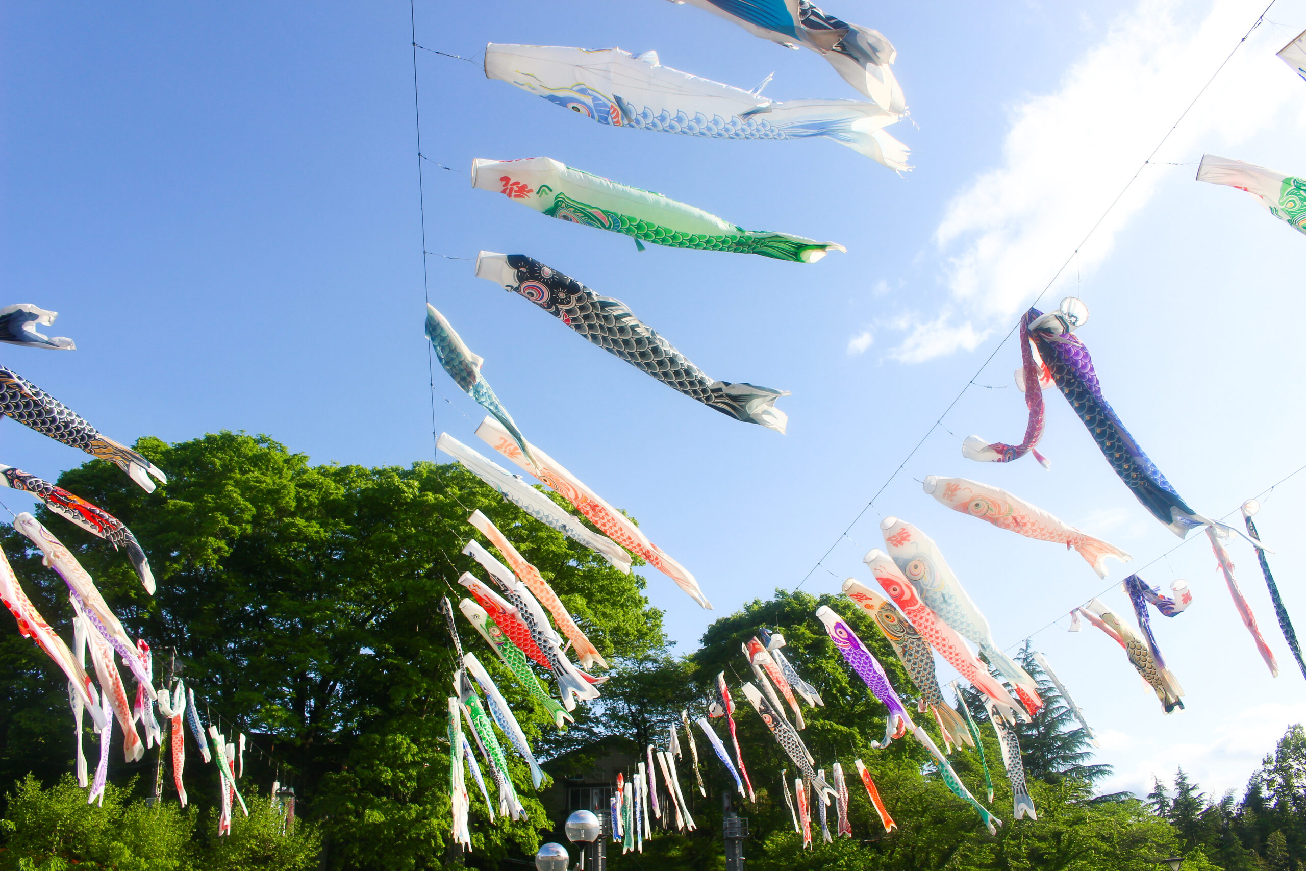 横瀬鯉のぼり祭り