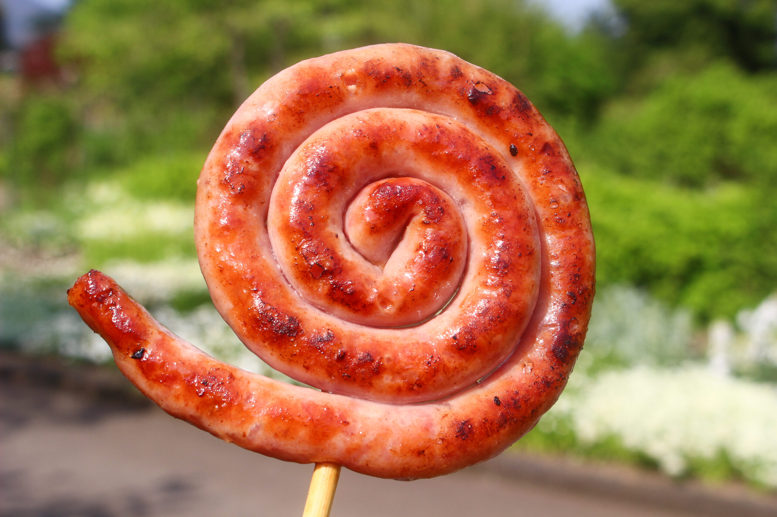 くじゅう花公園