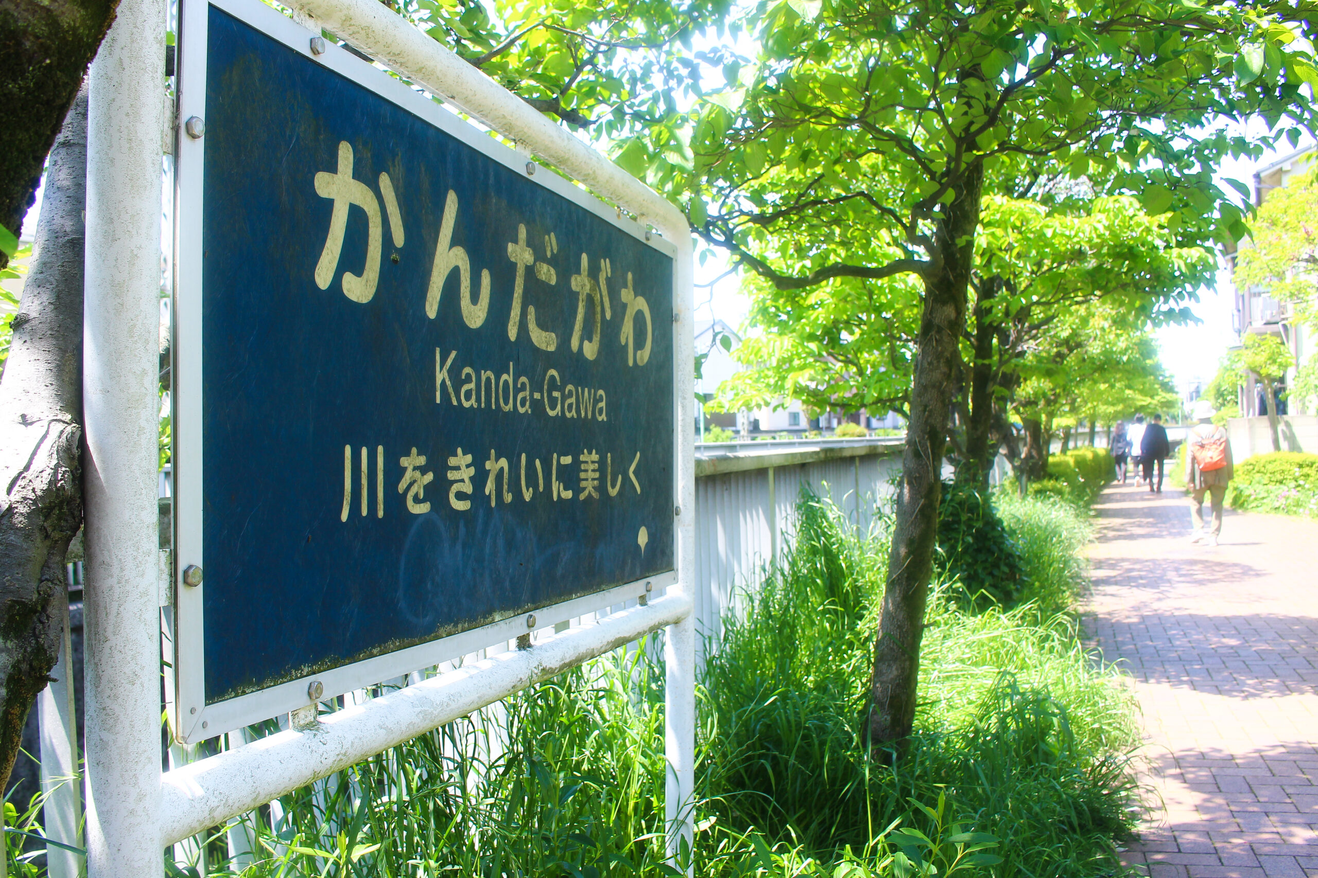 神田川こいのぼり祭り
