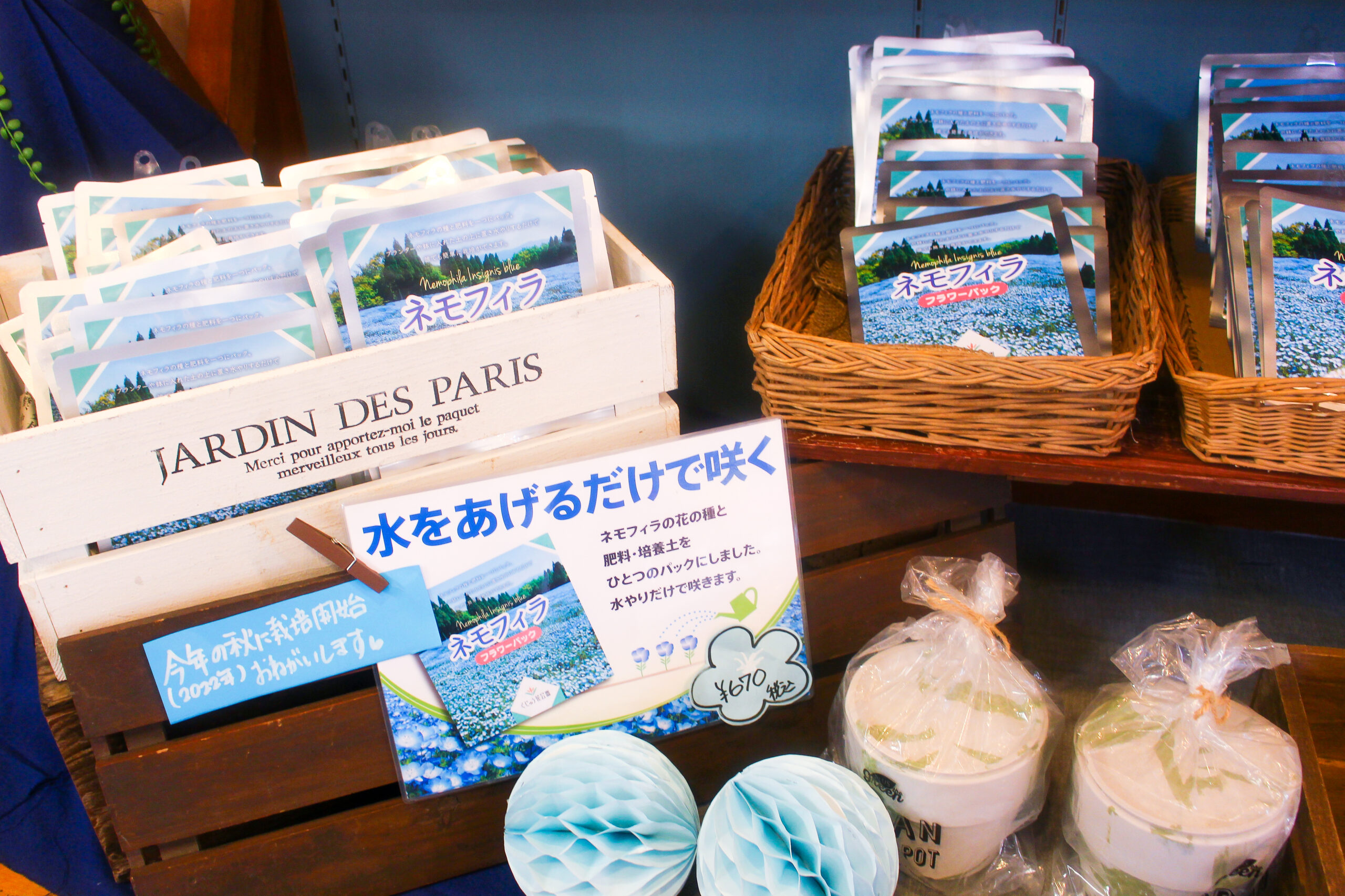 くじゅう花公園