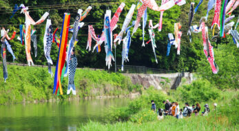 紫川こいのぼりまつりが北九州市小倉南区で開催！500匹が小嵐山を颯爽と泳ぐ