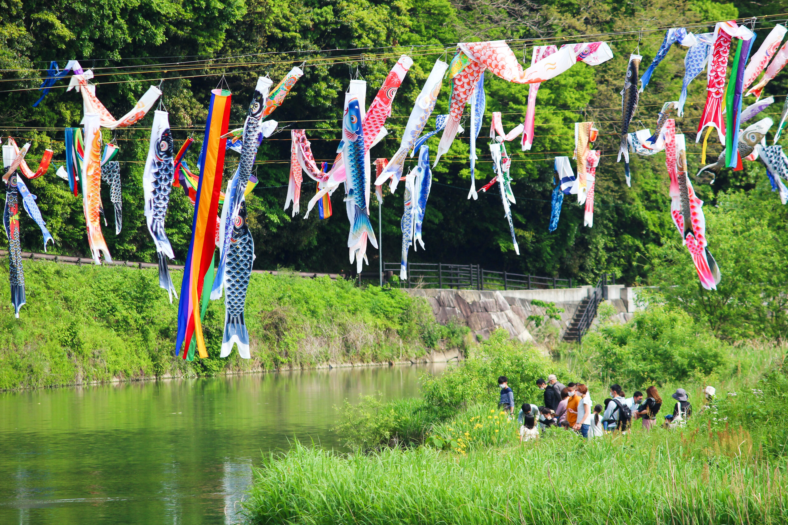 紫川こいのぼりまつり