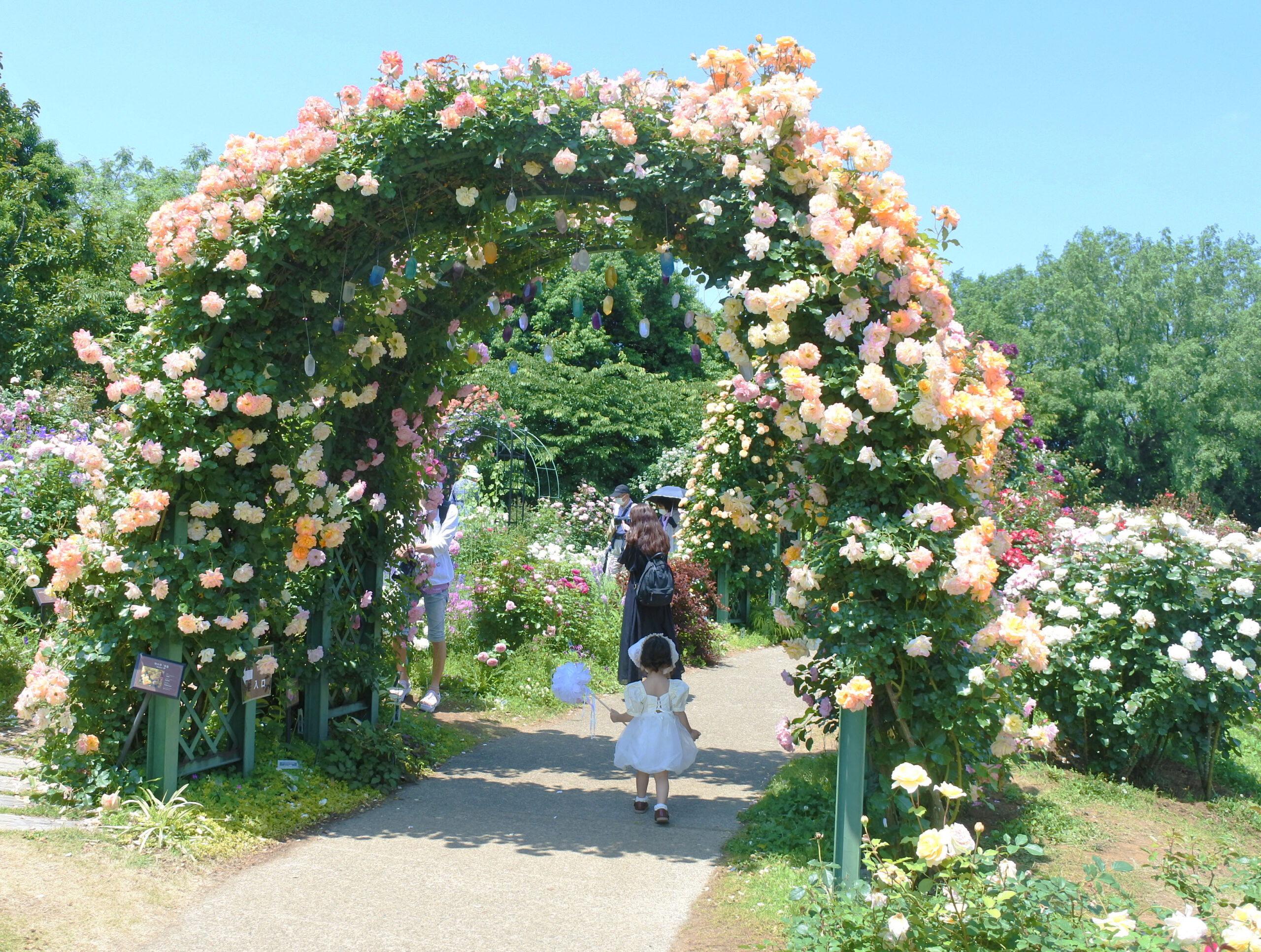 京成バラ園