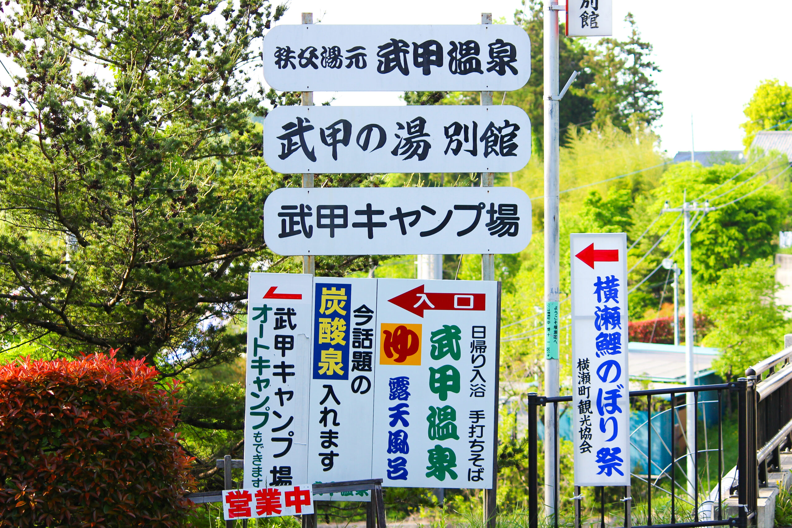 横瀬鯉のぼり祭り