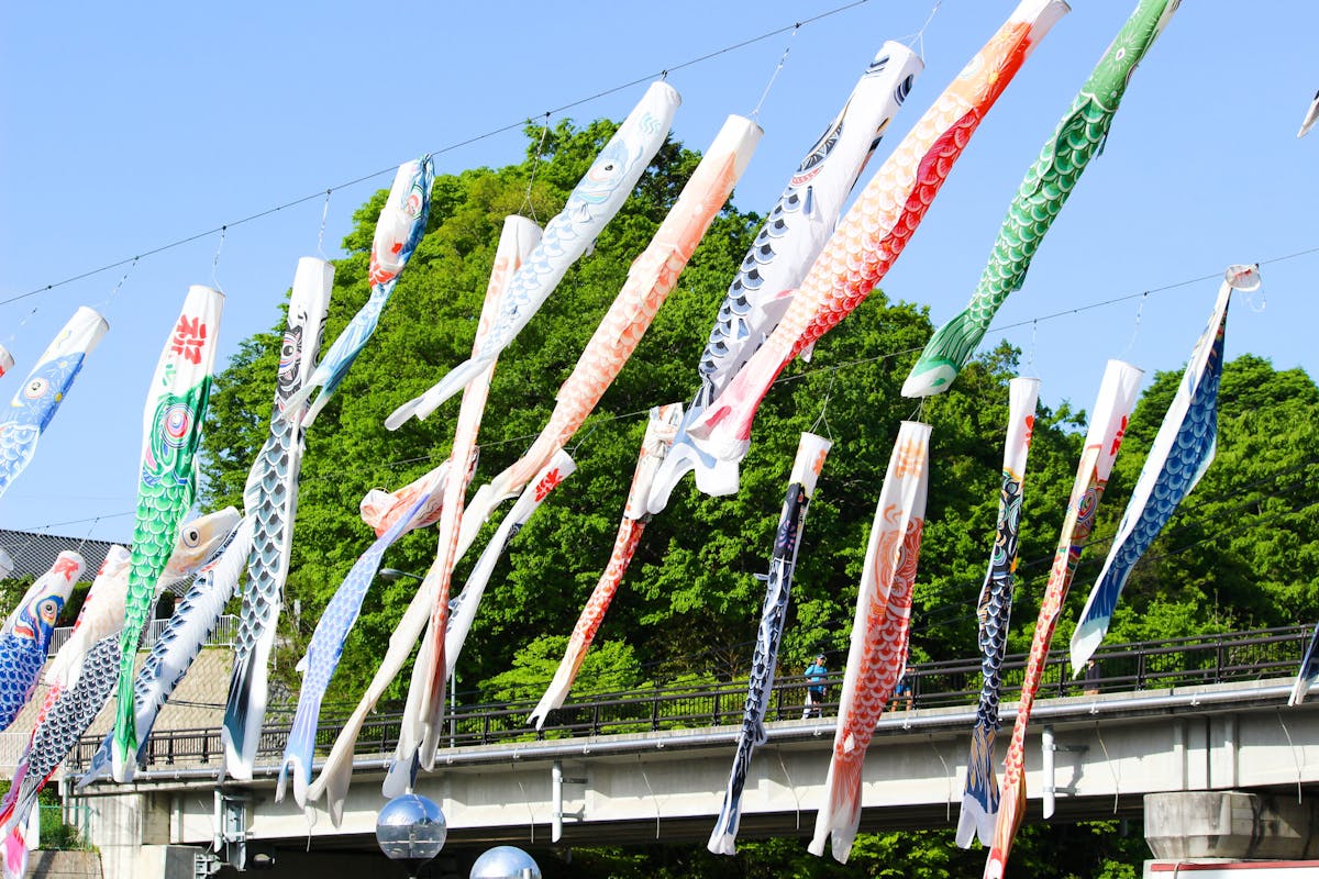 横瀬鯉のぼり祭り
