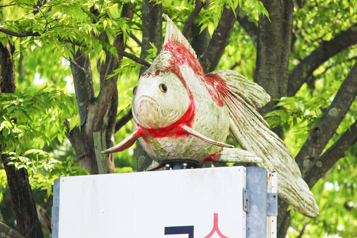 長洲金魚まつり