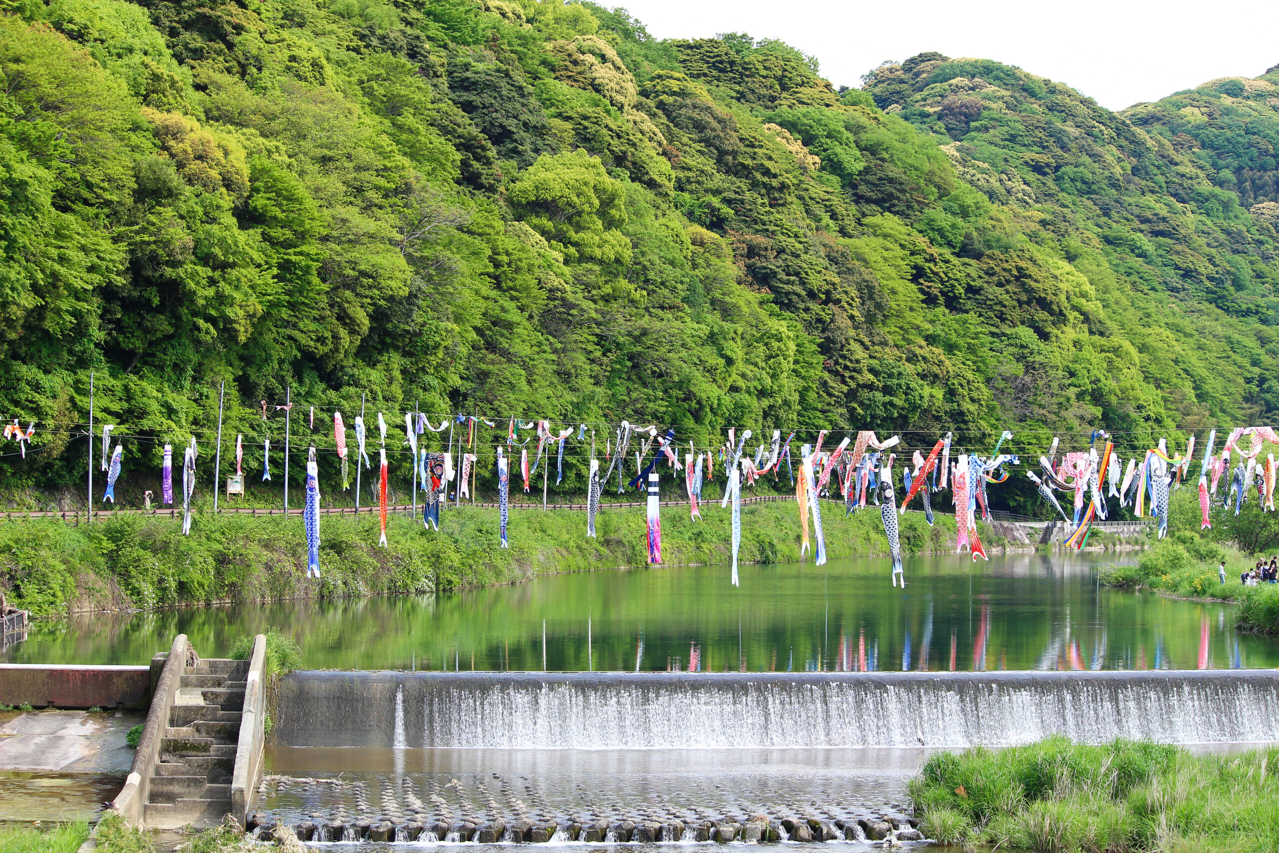 紫川こいのぼりまつり