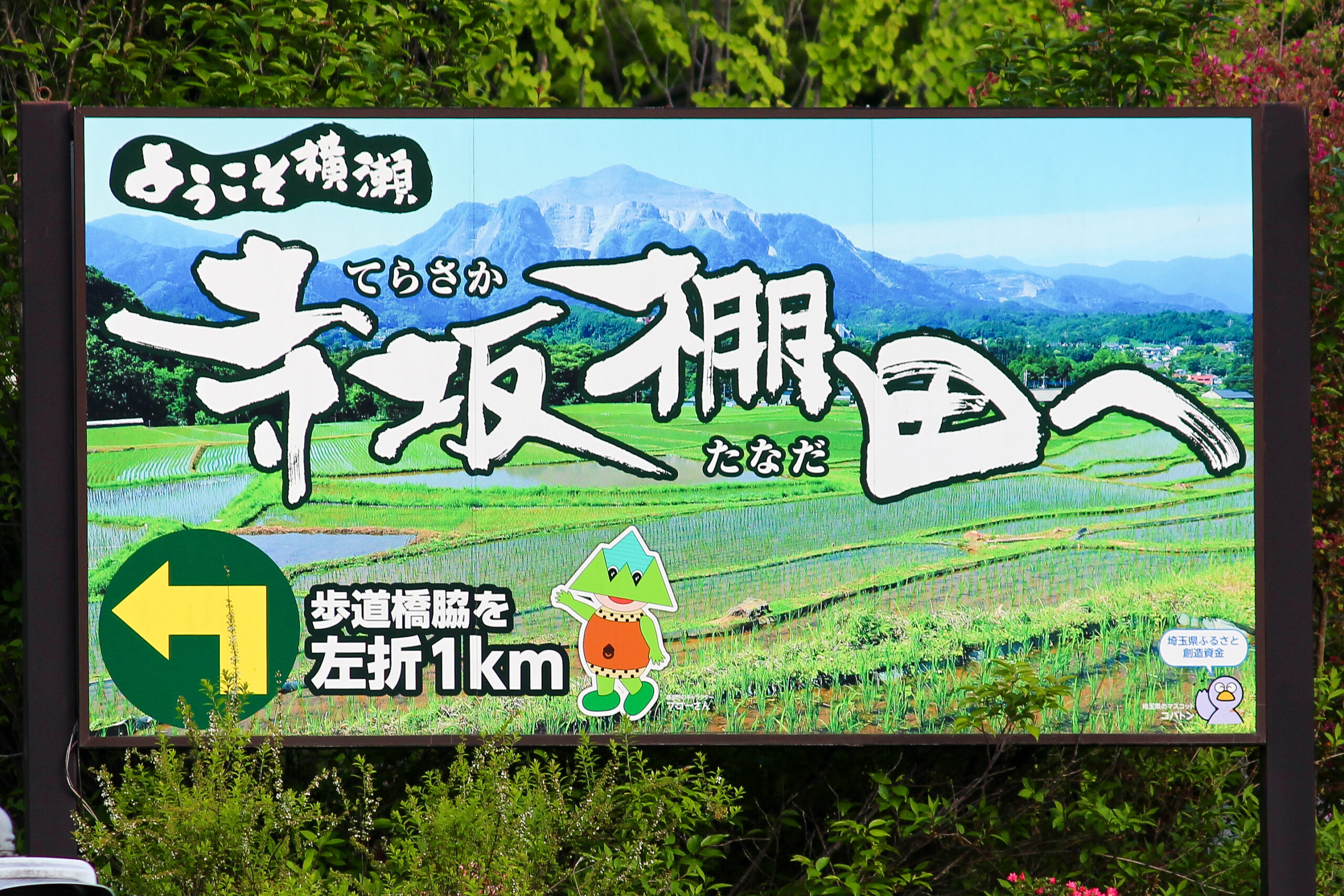 横瀬鯉のぼり祭り