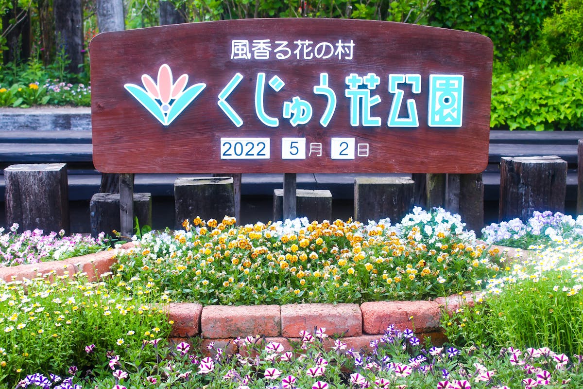 ネモフィラフェスティバルがくじゅう花公園で開催 7000 に広がる青の世界 オマツリジャパン あなたと祭りをつなげるメディア ネモフィラフェスティバルがくじゅう花公園で開催 7000 に広がる青の世界 オマツリジャパン あなたと祭りをつなげるメディア