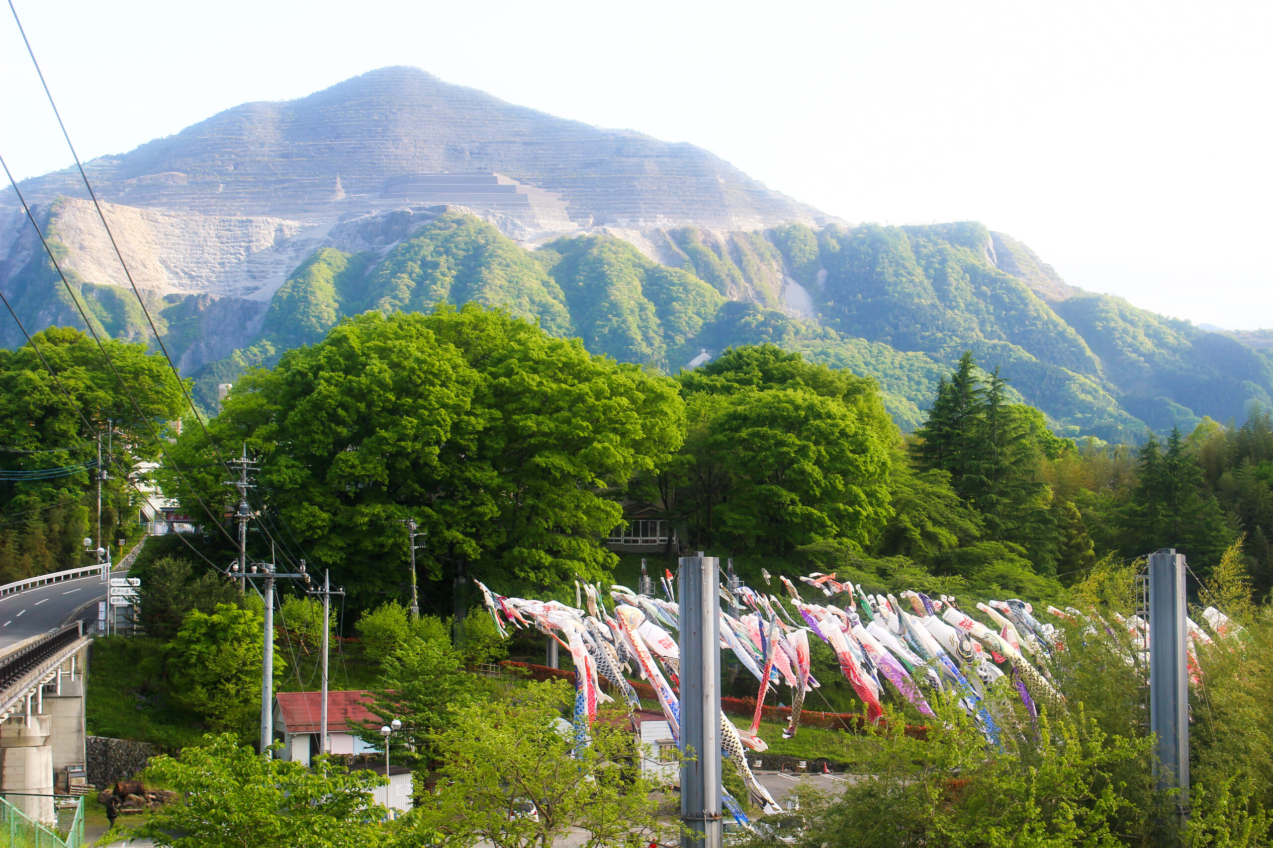 横瀬鯉のぼり祭り