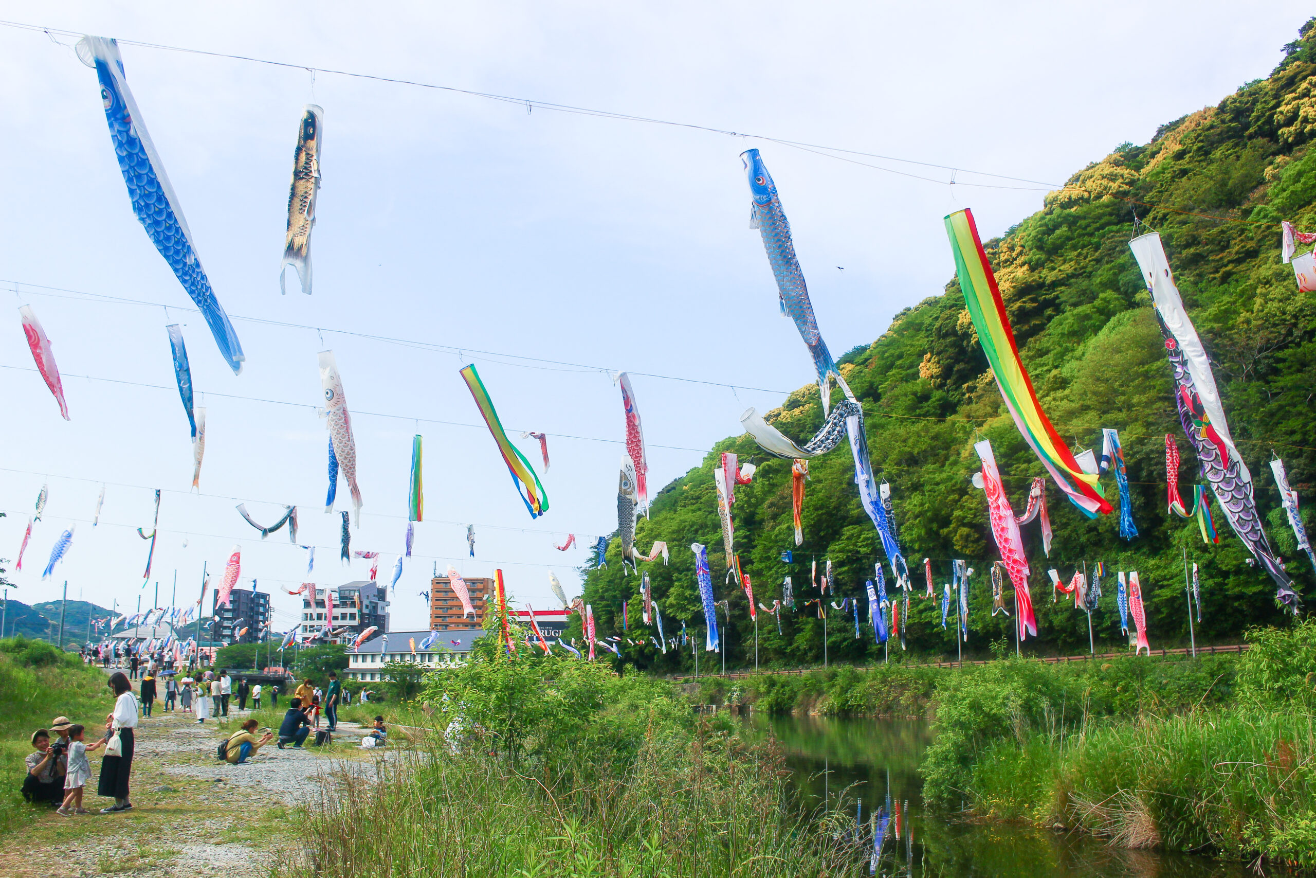 紫川こいのぼりまつり