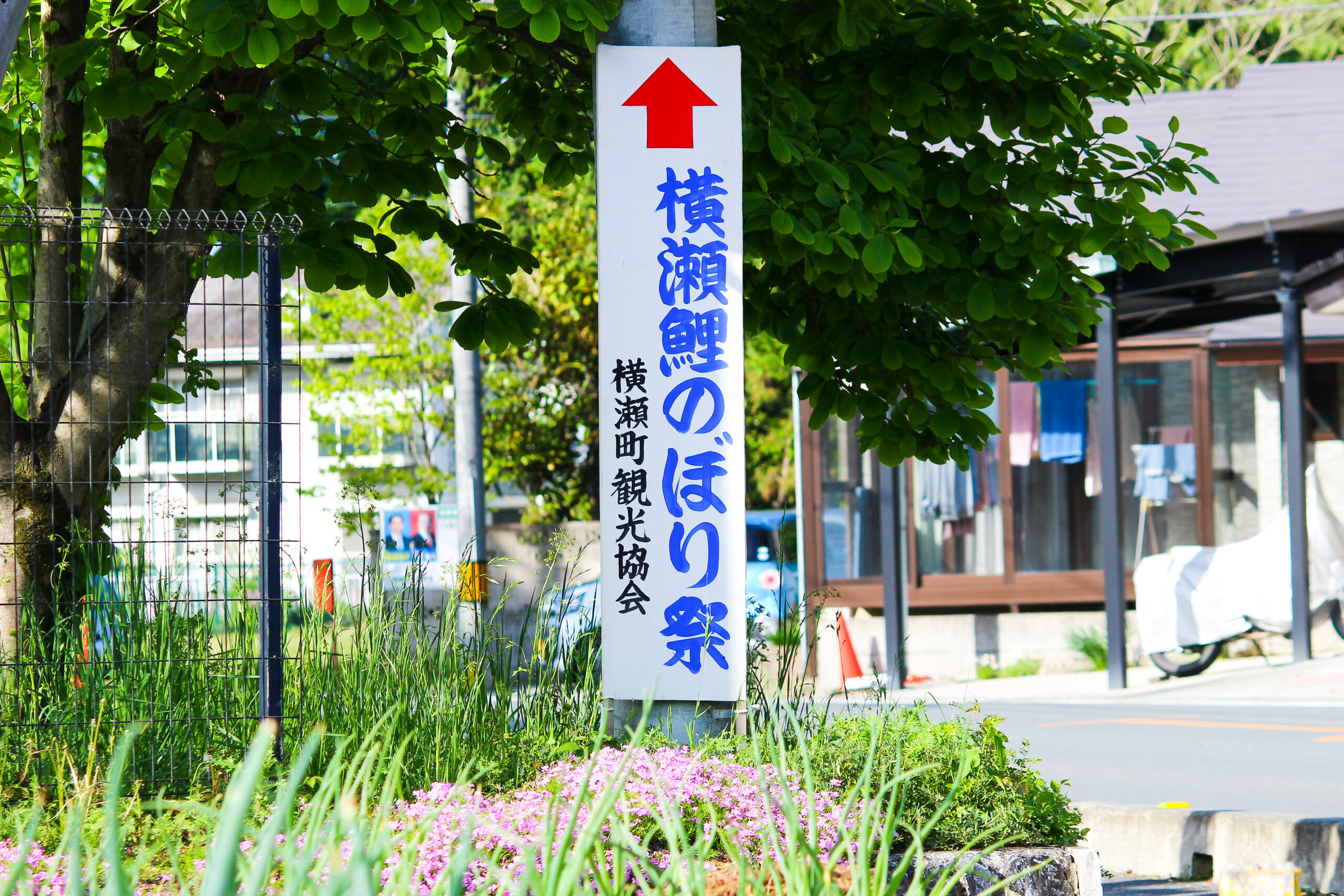 横瀬鯉のぼり祭り