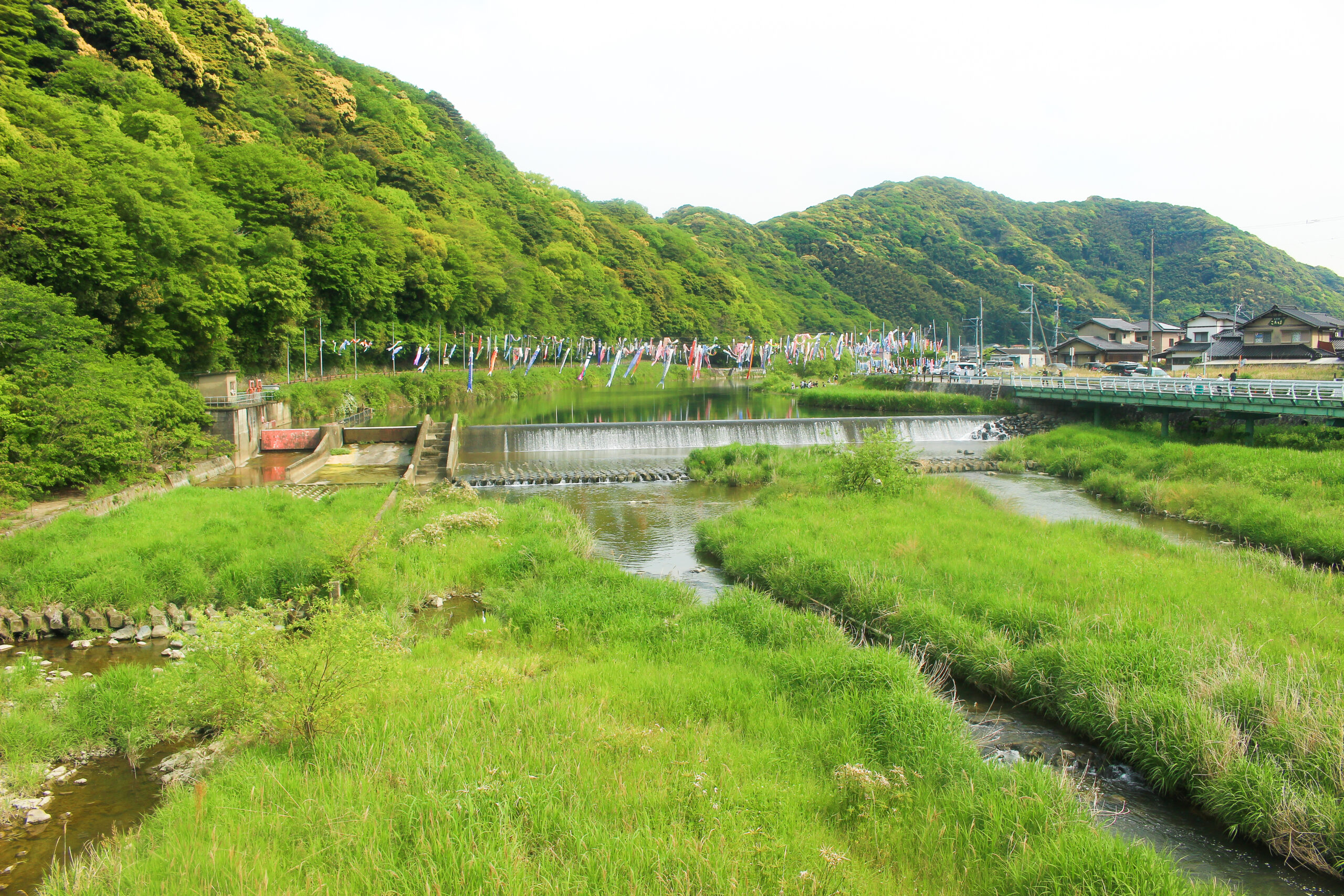 紫川こいのぼりまつり