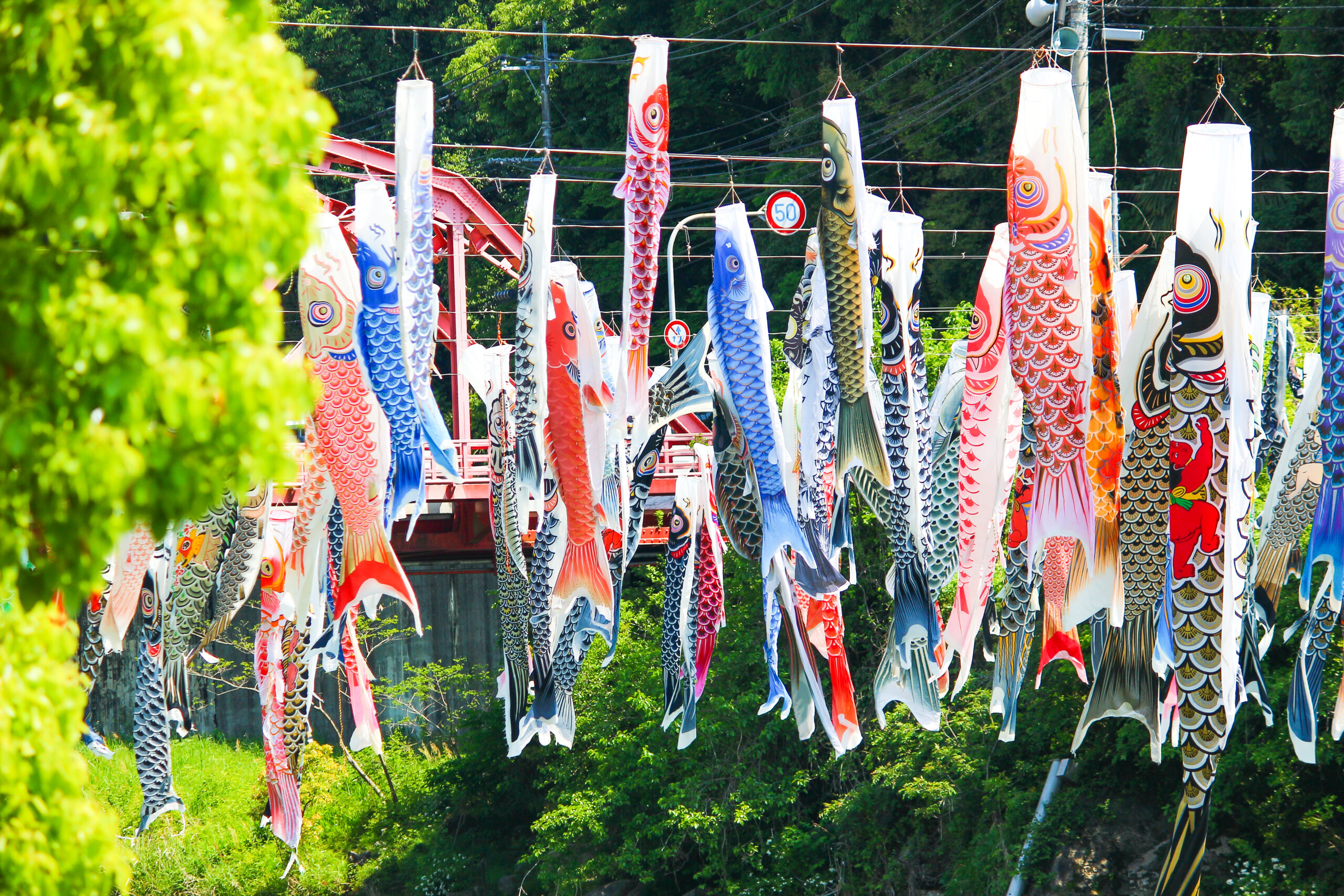 川上峡春まつり