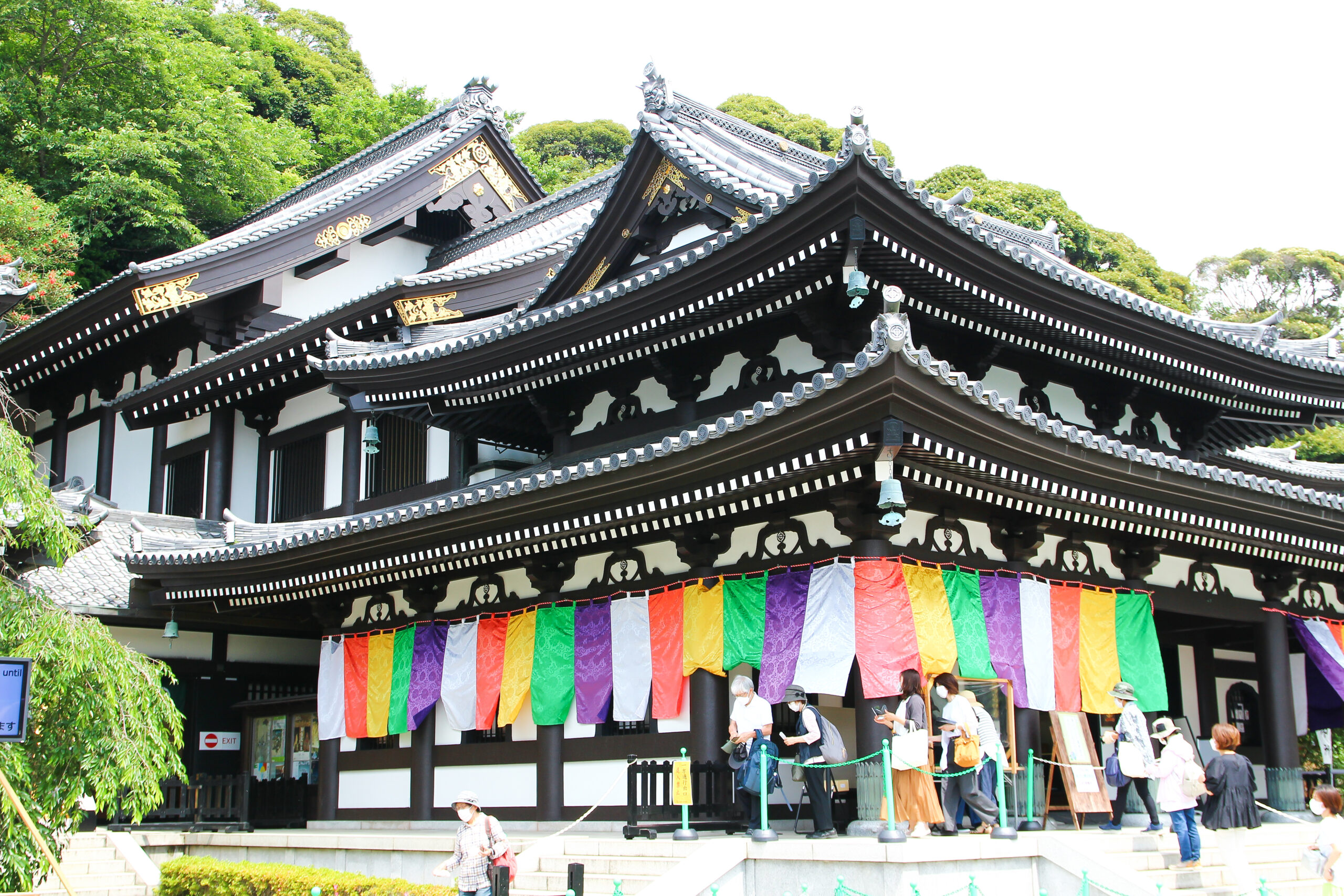 長谷寺あじさい