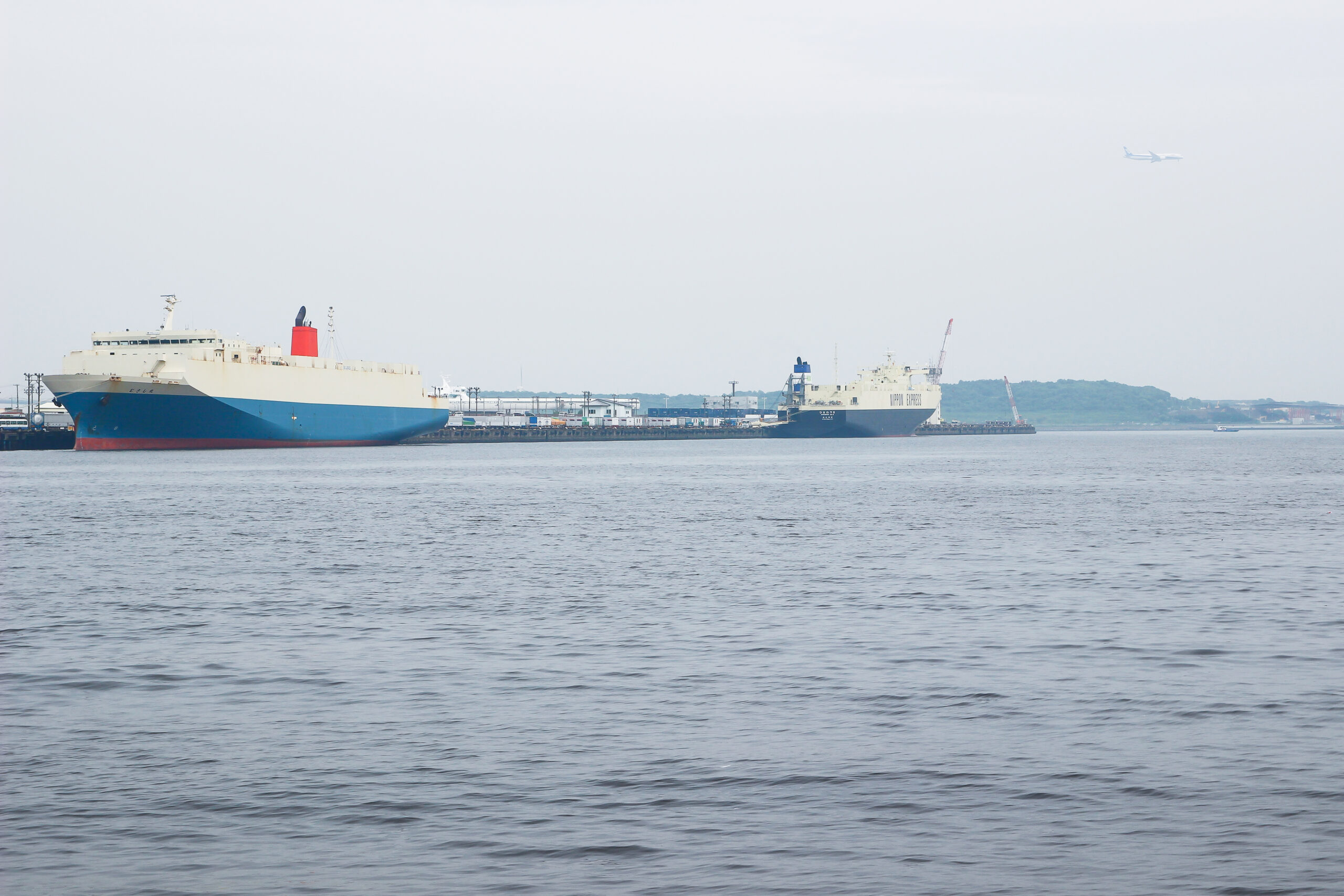 お台場あじさい