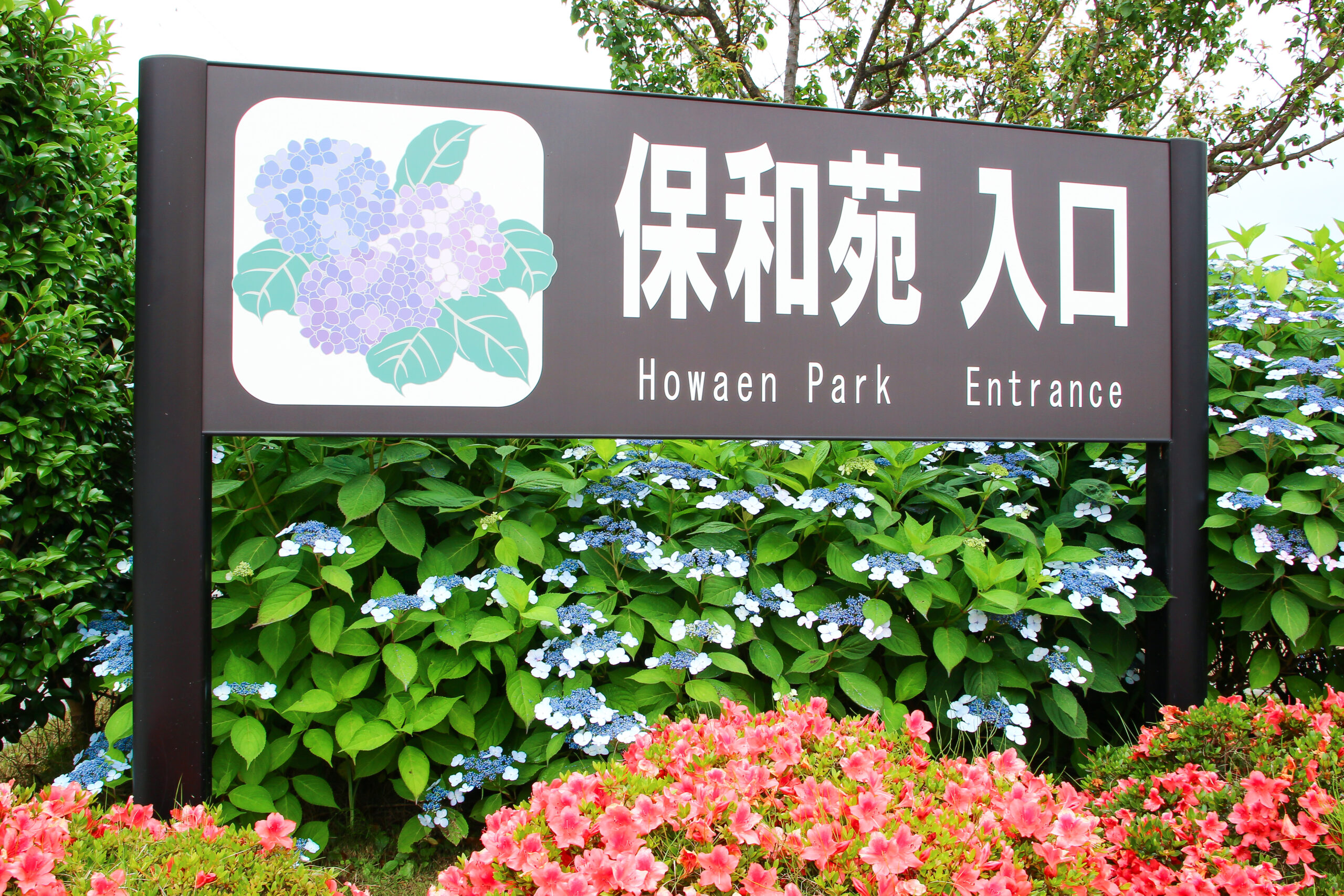 水戸のあじさいまつり